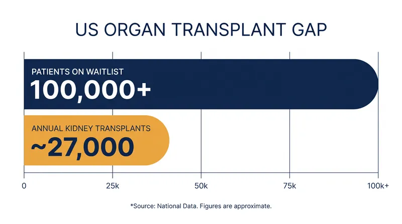 The demand for human donor organs vastly outstrips the available supply, leaving over 100,000 Americans on the waitlist.