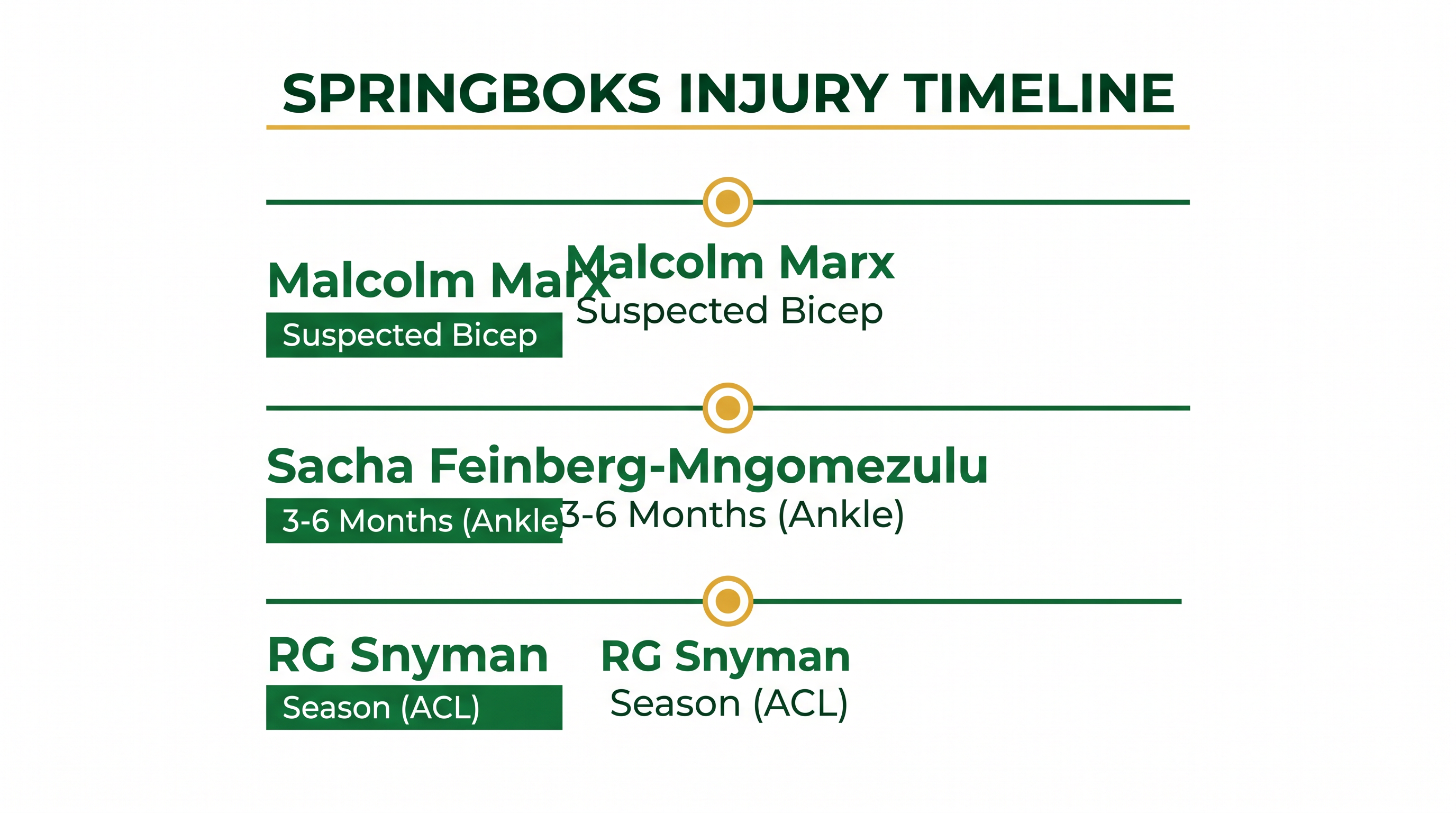 The Springboks face a mounting injury list ahead of their upcoming test window.