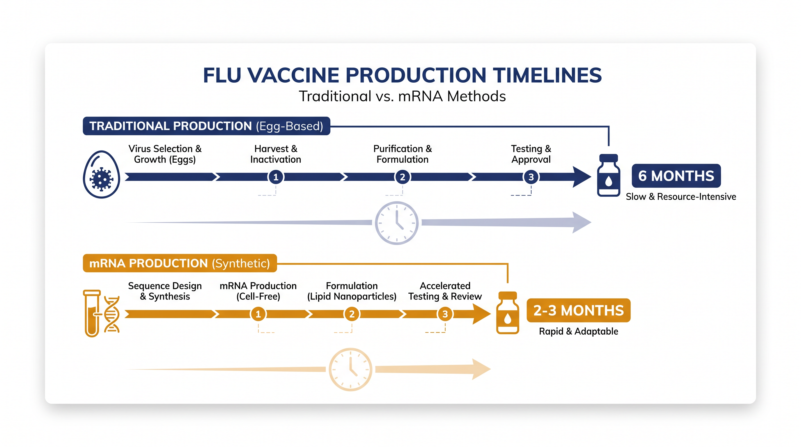mRNA technology cuts the manufacturing timeline by more than half, allowing for more accurate strain selection.