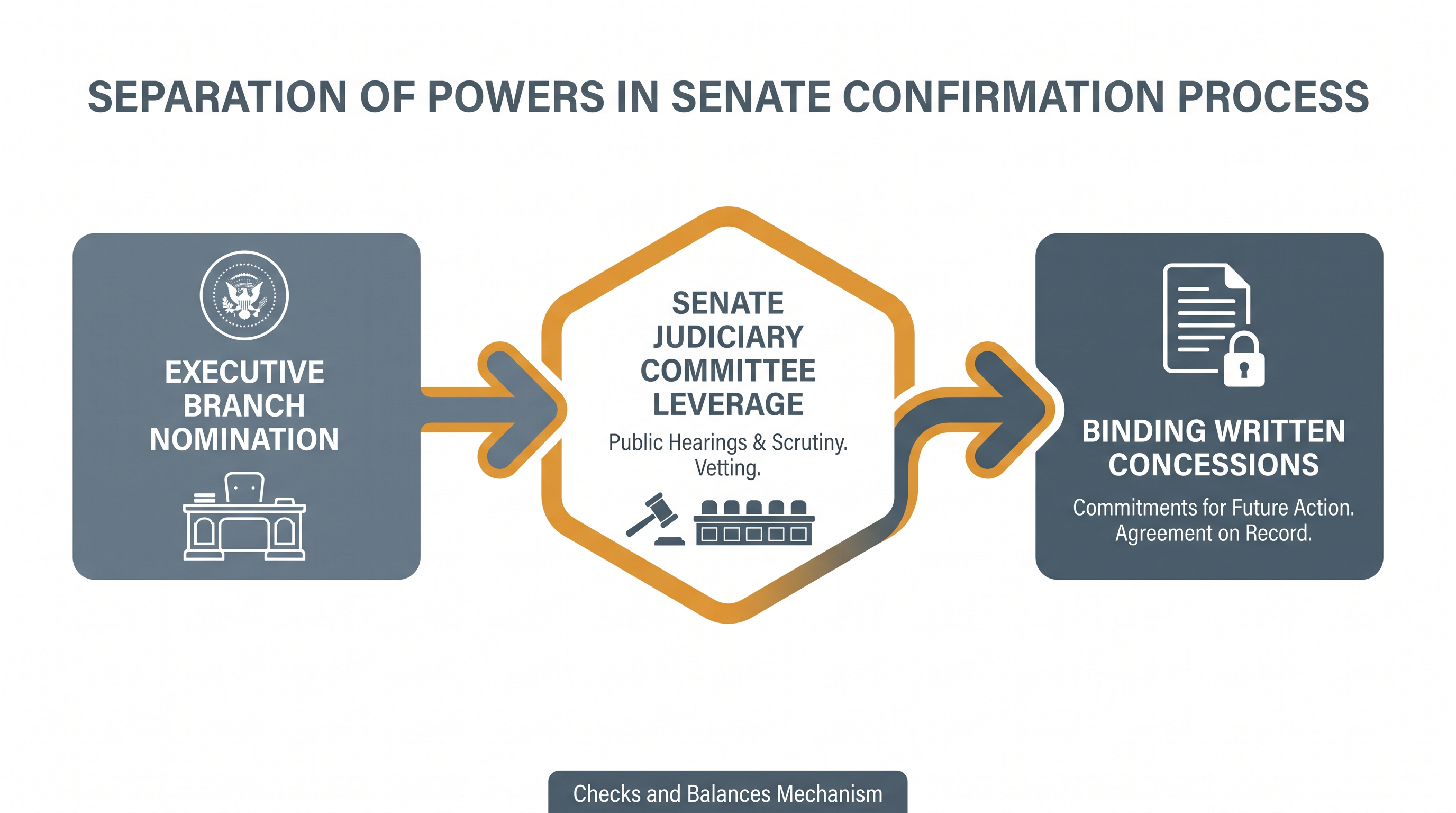 How the Senate's 'advice and consent' role functions as a check on executive power.
