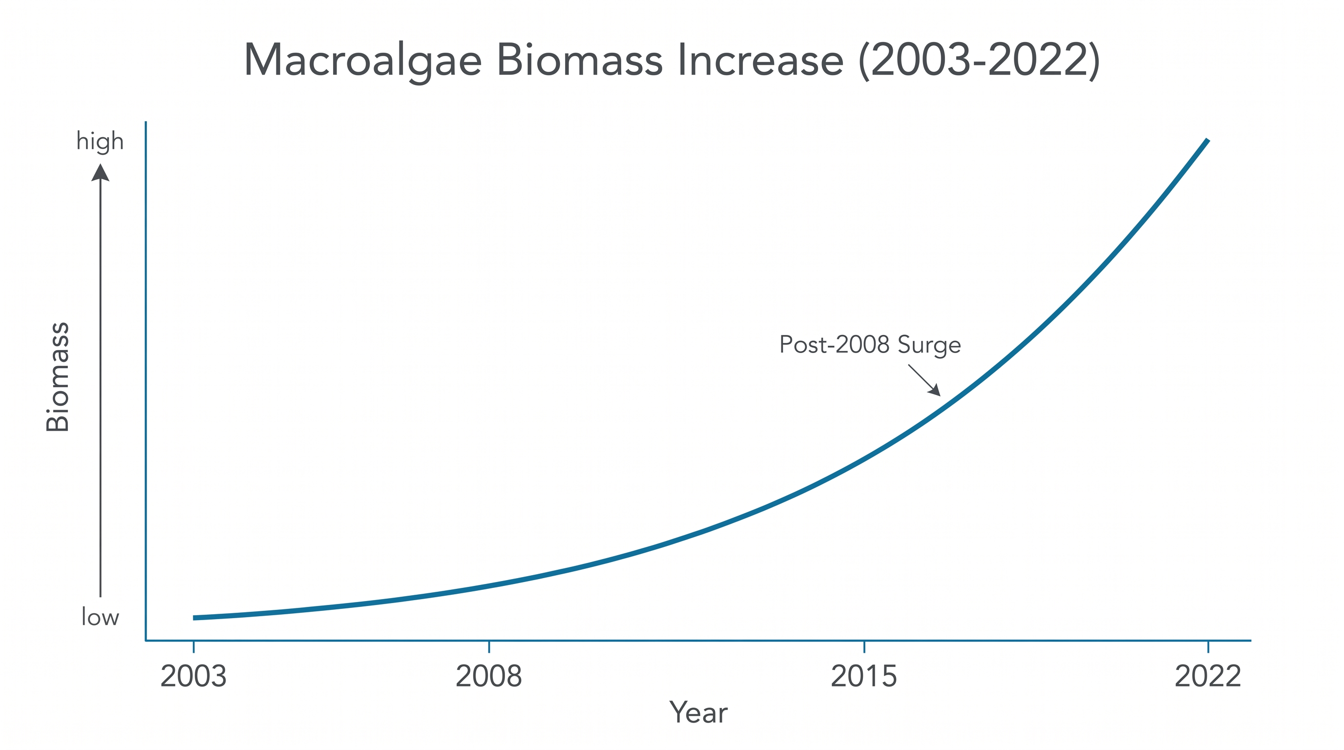 The data reveals a distinct acceleration in macroalgae biomass beginning around 2008.