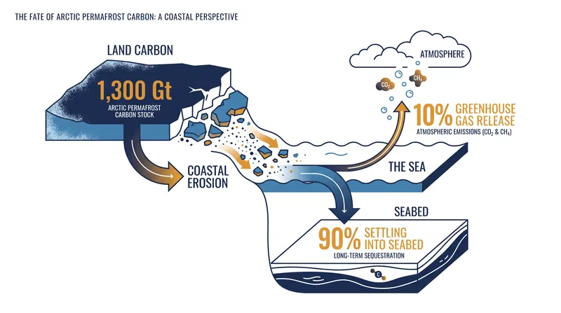 The vast majority of carbon eroded from Arctic coastlines is safely buried in the seabed.