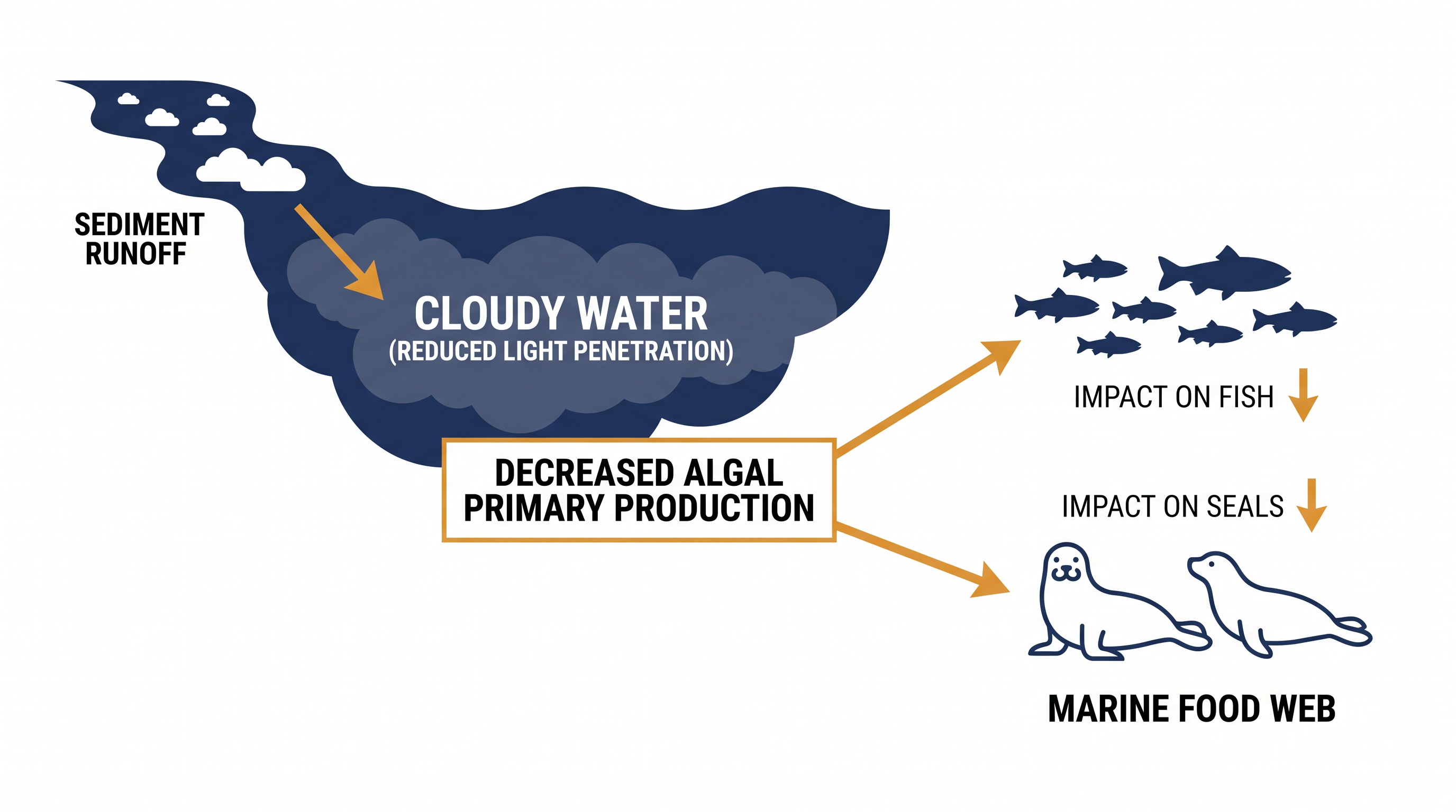 While carbon burial prevents atmospheric warming, the physical sediment still threatens the coastal food web.