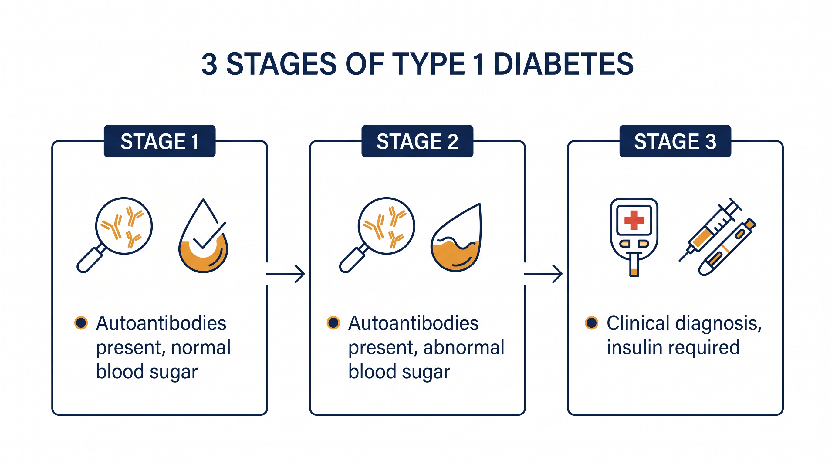 Type 1 diabetes progresses through three distinct stages before clinical symptoms appear.