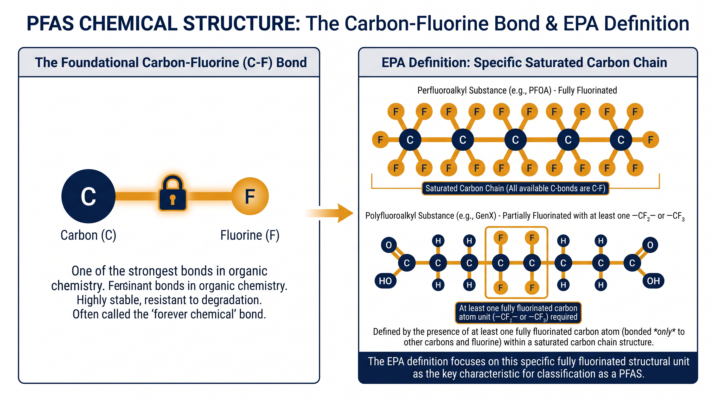The debate over 'forever chemicals' centers on whether to classify them by any carbon-fluorine bond or by a specific saturated chain structure.