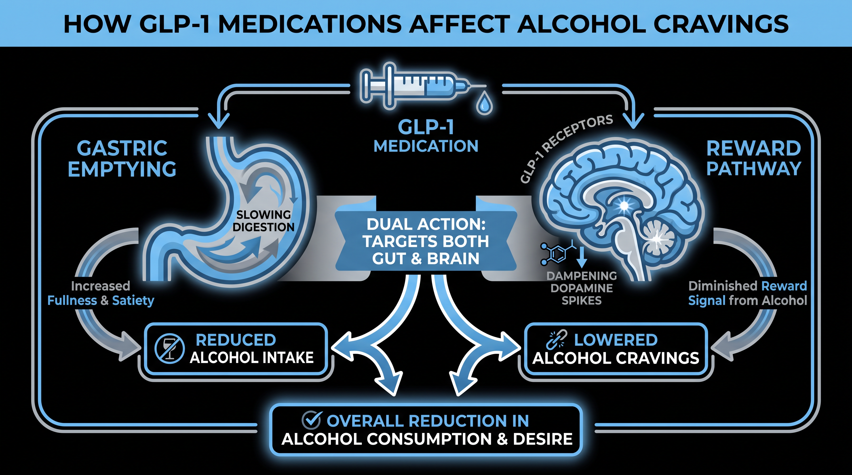 GLP-1s reduce alcohol intake through both physical fullness and neurological dampening of the reward system.