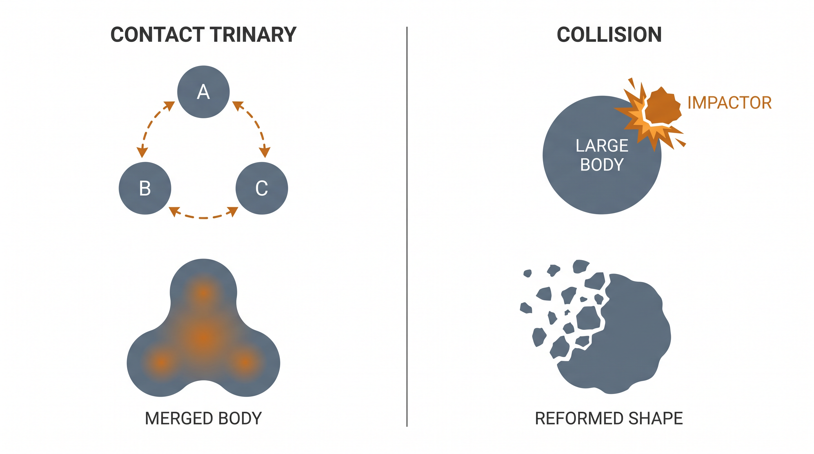 Astronomers are debating whether Nysa formed from a gentle merger of three bodies or a violent collision.