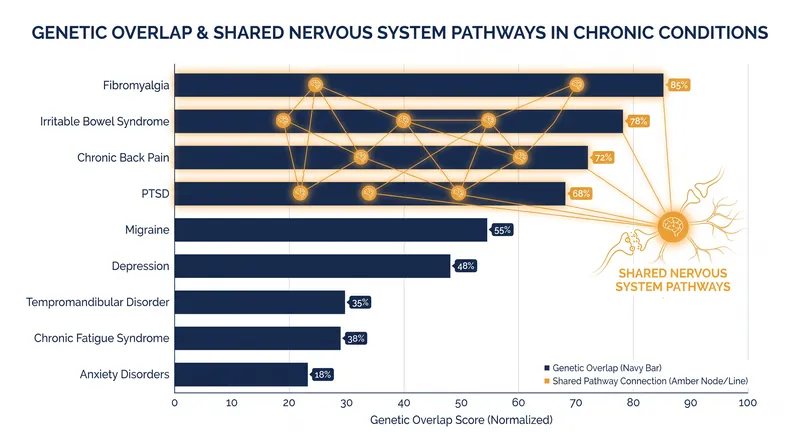 Researchers discovered substantial genetic overlap between fibromyalgia and other common chronic pain and somatic disorders.
