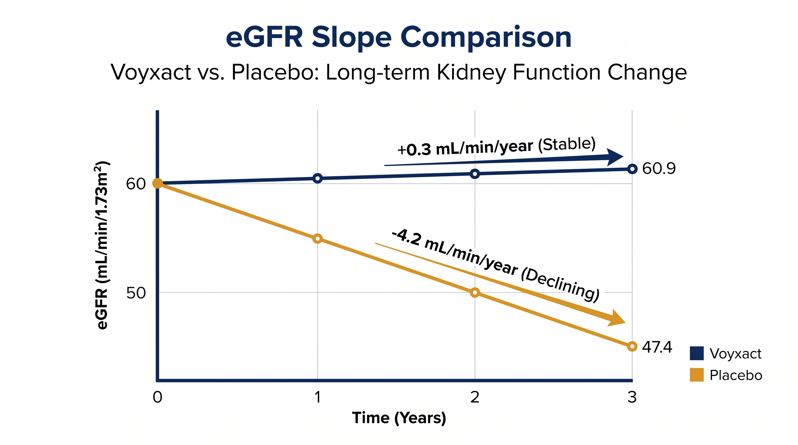 Patients receiving sibeprenlimab saw their kidney function stabilize over 24 months, while those on placebo experienced a steep decline.
