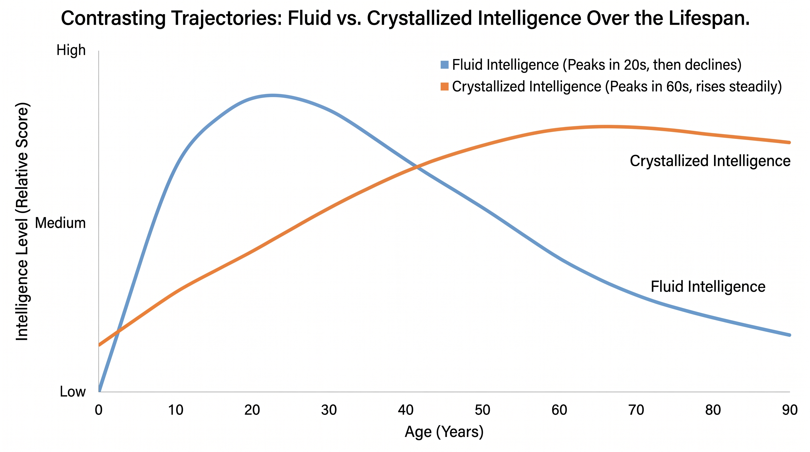 While fluid intelligence peaks early in adulthood, crystallized intelligence continues to grow for decades.
