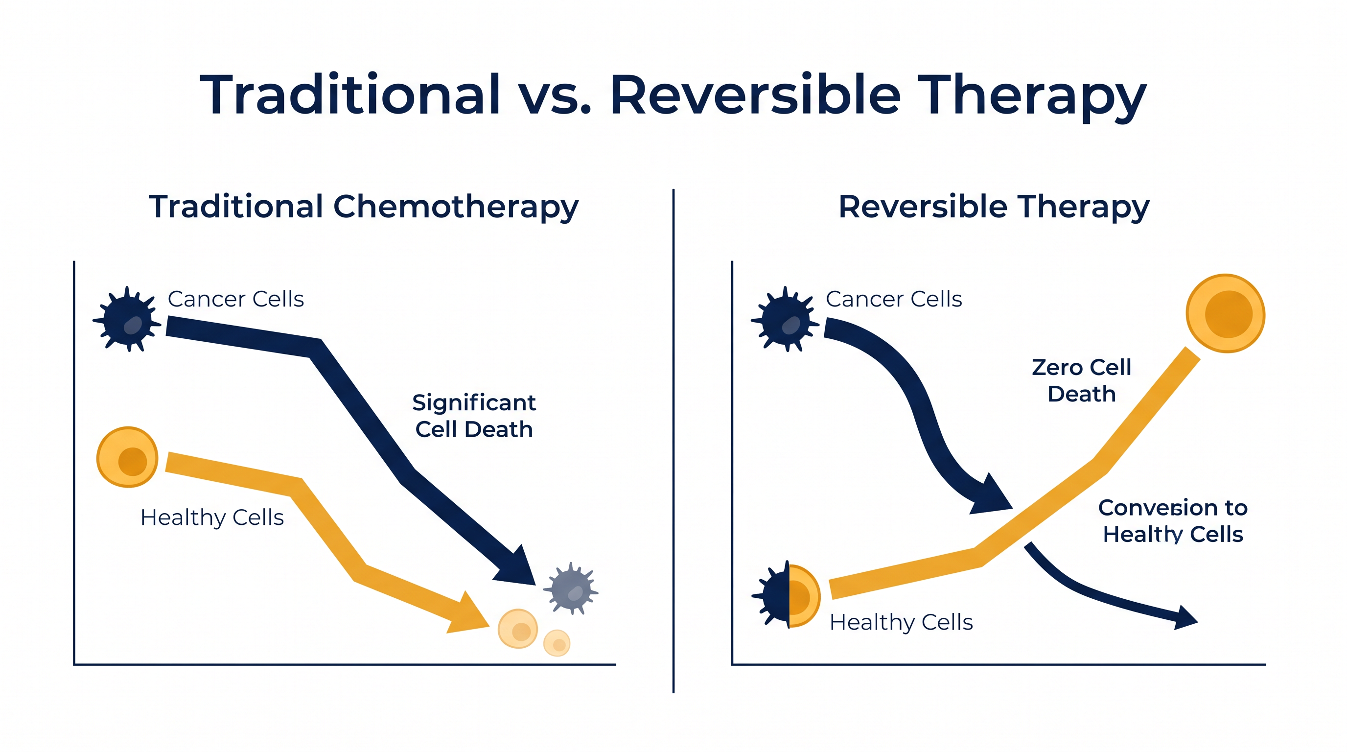 Unlike traditional cytotoxic therapies that kill both healthy and malignant tissue, reversible therapy preserves cellular life.