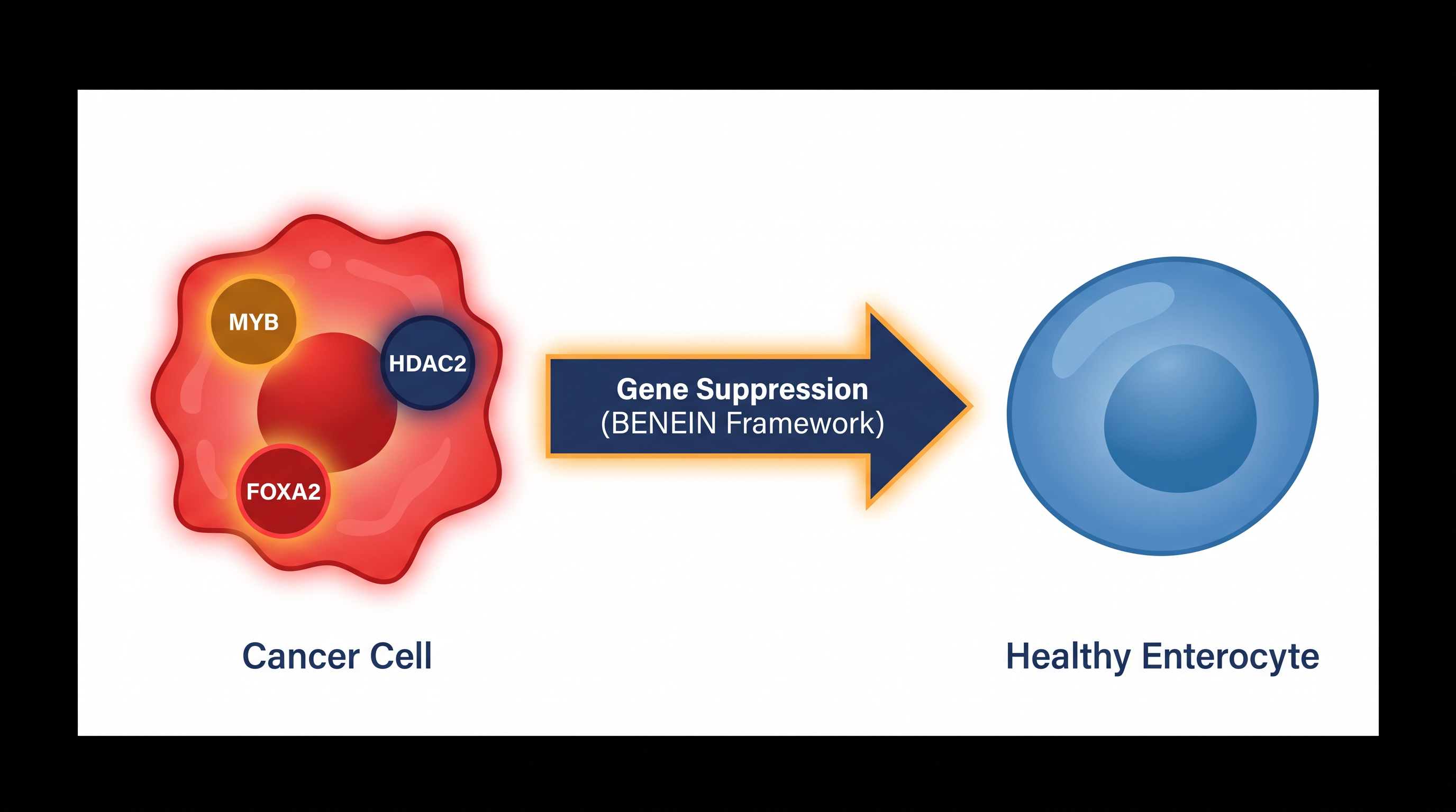 By suppressing three master regulatory genes, the BENEIN framework forces colon cancer cells to revert to normal intestinal cells.
