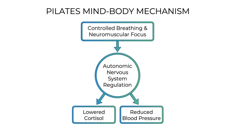 The cardiometabolic benefits of Pilates are largely driven by its ability to modulate the autonomic nervous system and lower stress hormones.