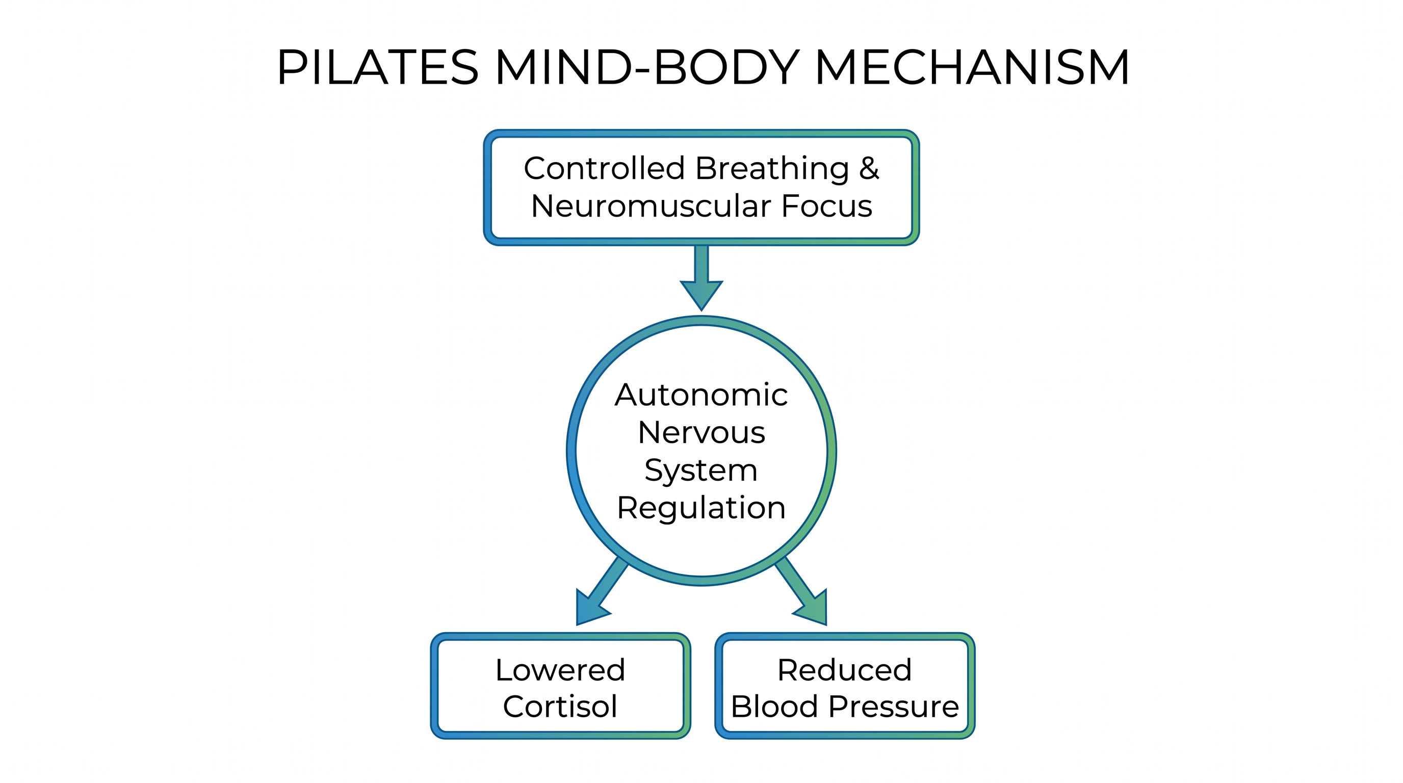 The cardiometabolic benefits of Pilates are largely driven by its ability to modulate the autonomic nervous system and lower stress hormones.