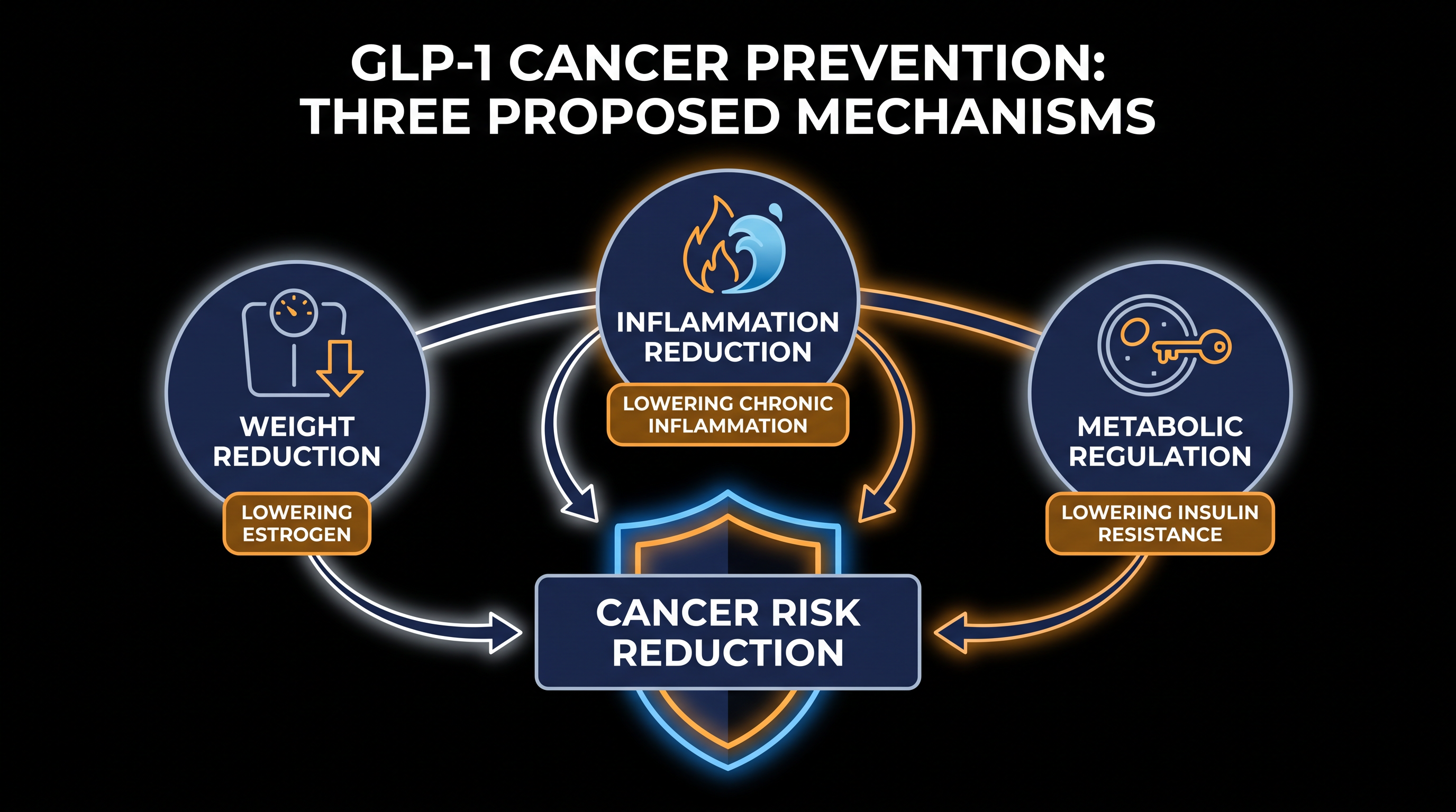 Scientists believe GLP-1 medications may inhibit tumor growth through multiple biological pathways.