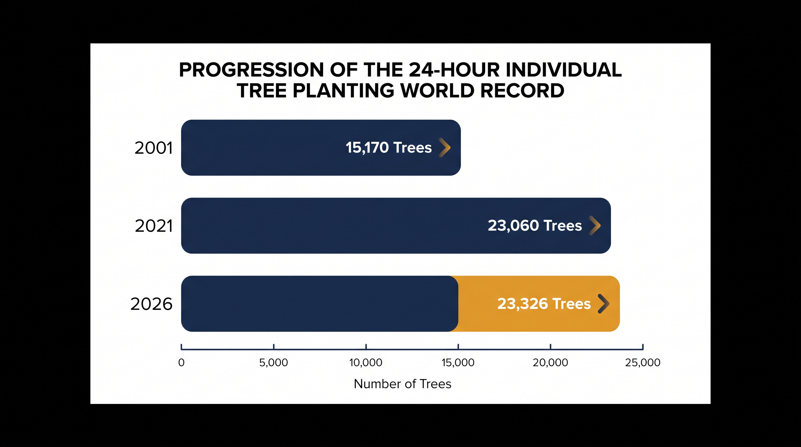 The 24-hour individual planting record has steadily climbed over the past two decades as competitive reforestation evolves.