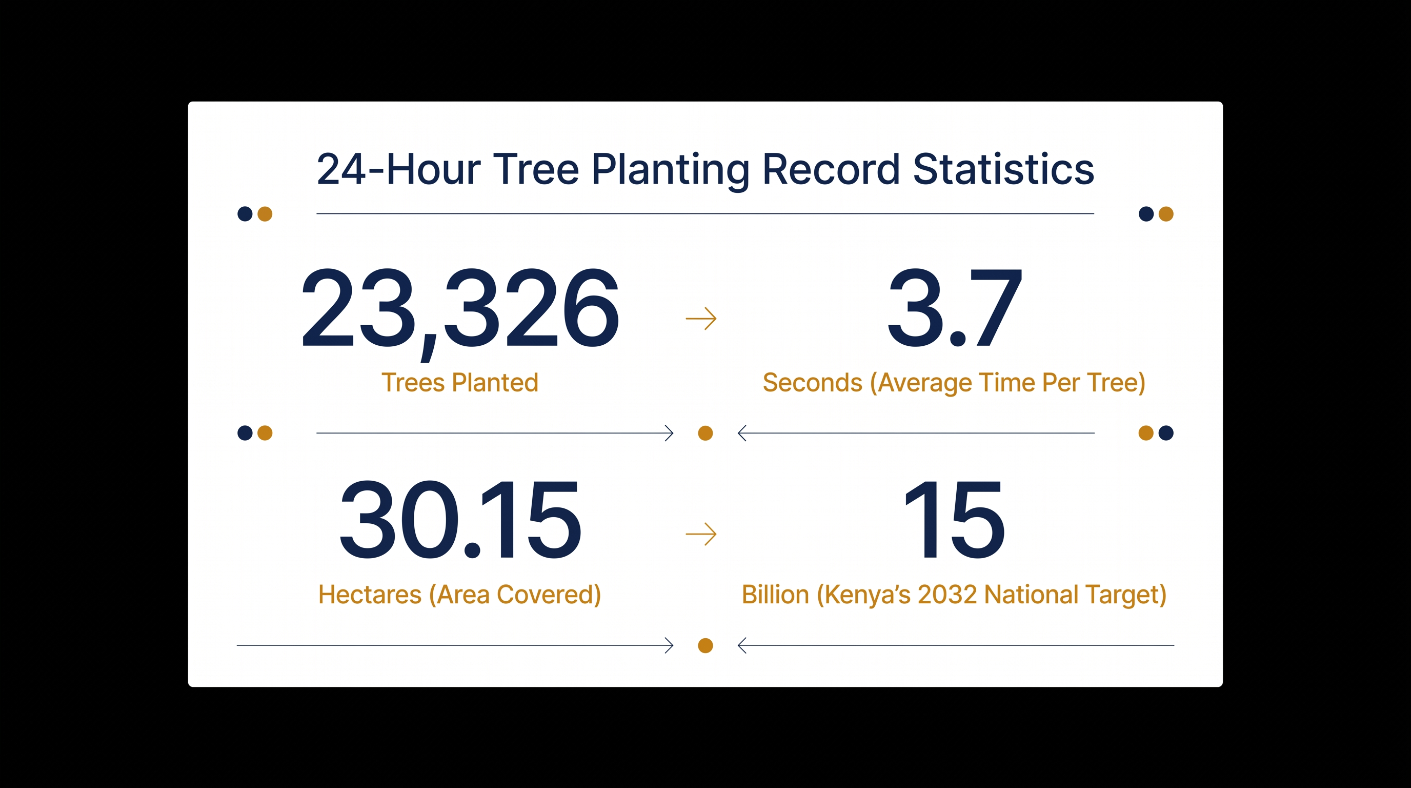 The sheer mathematics of planting over 23,000 trees in a single day requires an average pace of roughly 16 trees per minute.