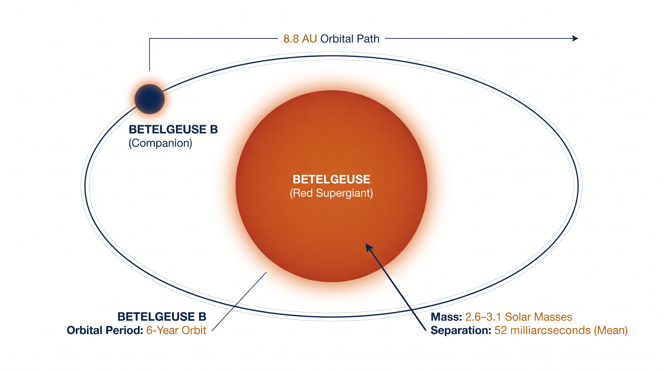 The companion star orbits Betelgeuse at a projected distance of 8.8 astronomical units.