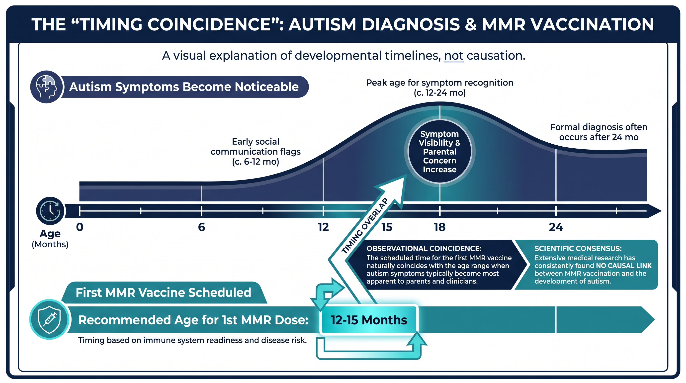 The behavioral symptoms of autism naturally become noticeable at the exact same age children receive their first MMR dose, creating a false illusion of cause and effect.