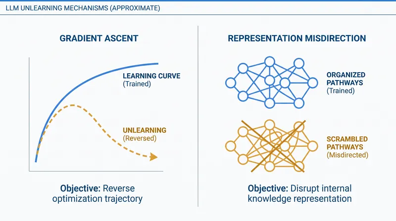 Approximate unlearning uses mathematical techniques to neutralize a model's ability to recall specific concepts.