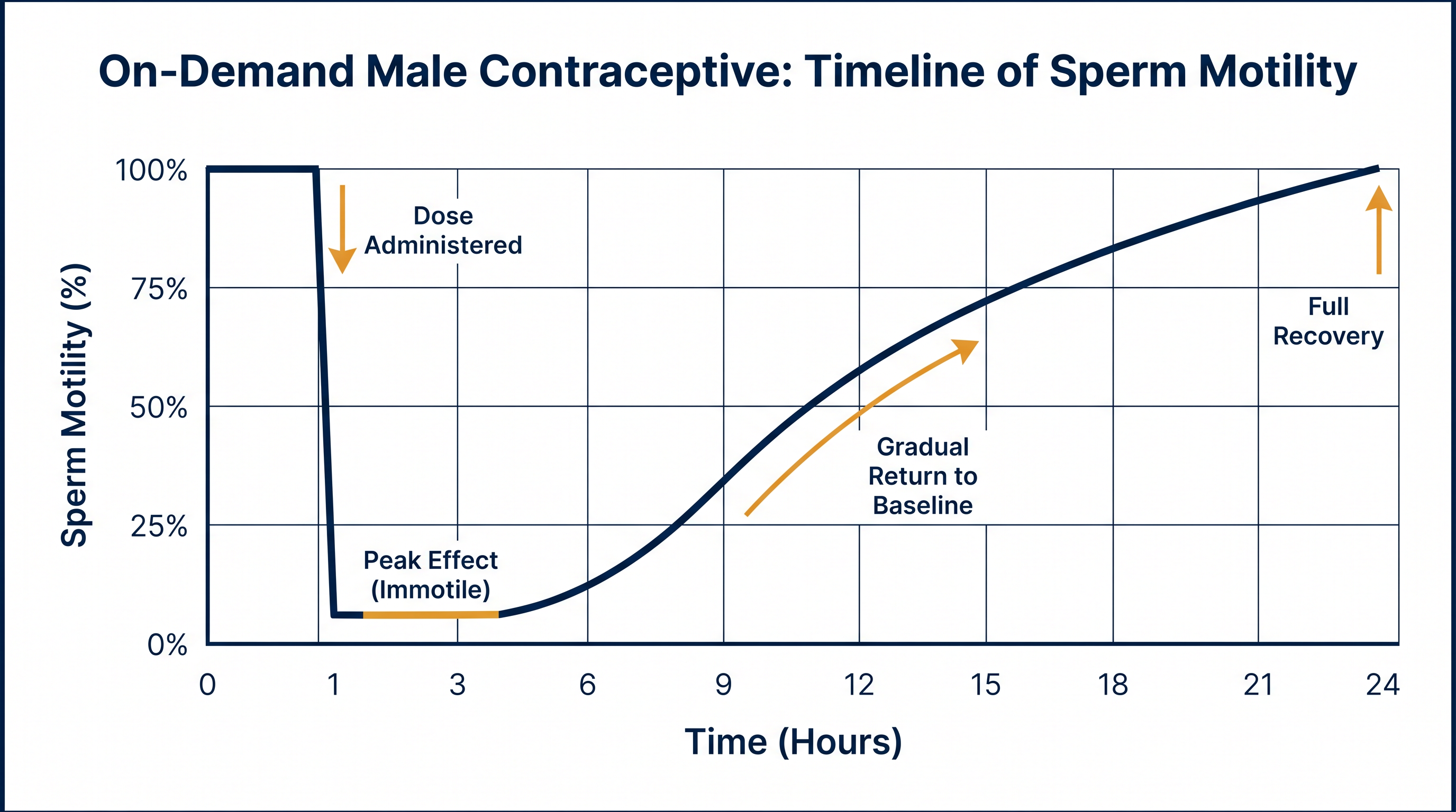 Preclinical models suggest that metabolic inhibitors can temporarily suppress sperm motility, with full recovery within 24 hours.