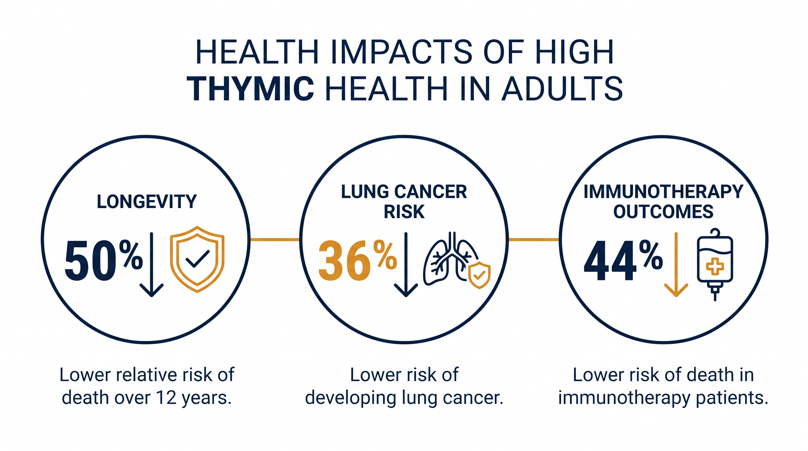 AI analysis of over 27,000 CT scans revealed stark survival advantages for adults with healthy thymus glands.