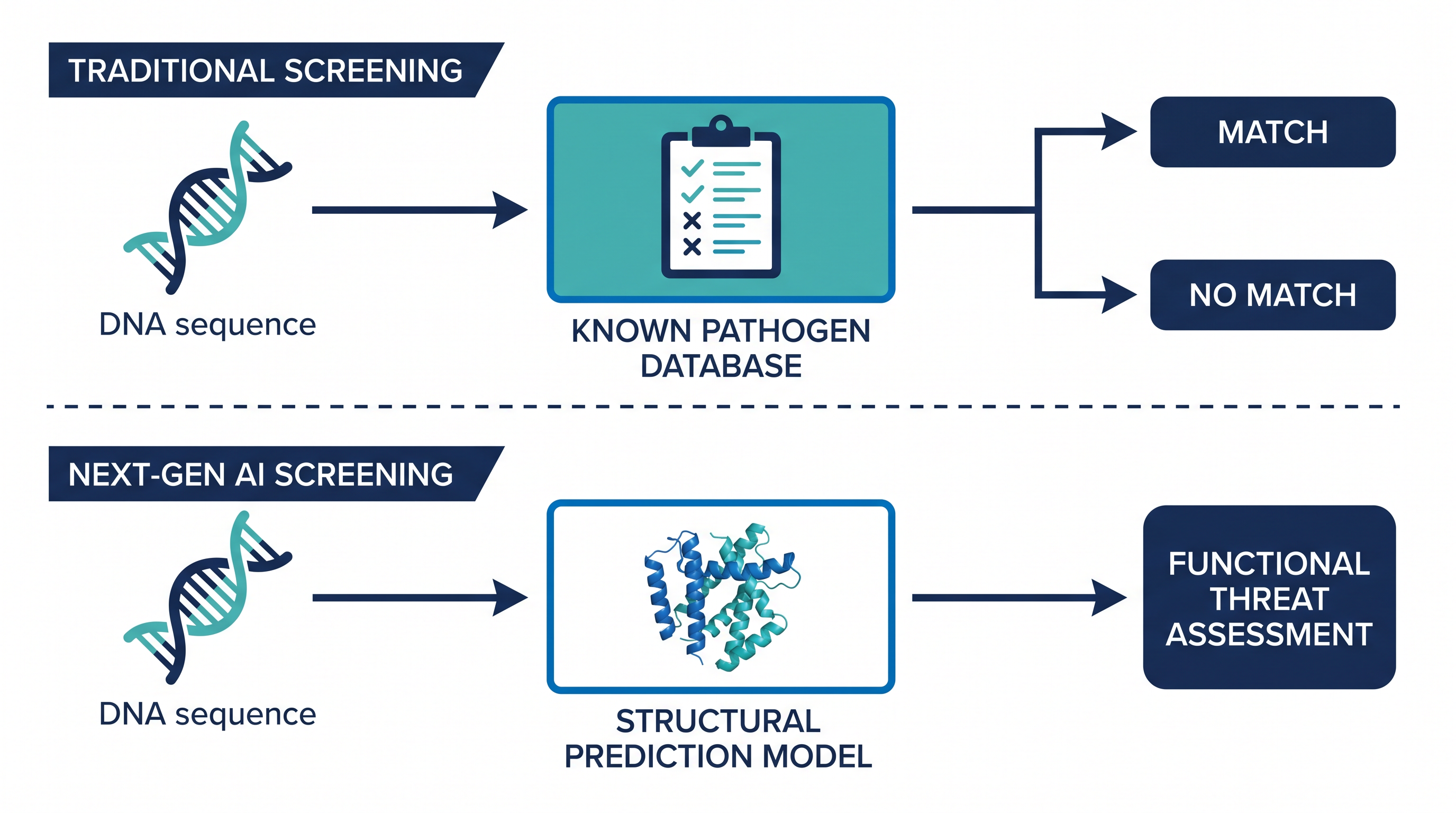 As AI learns to 'paraphrase' dangerous genetic code, biosecurity screening must evolve from simple sequence matching to predicting a protein's 3D structure and function.