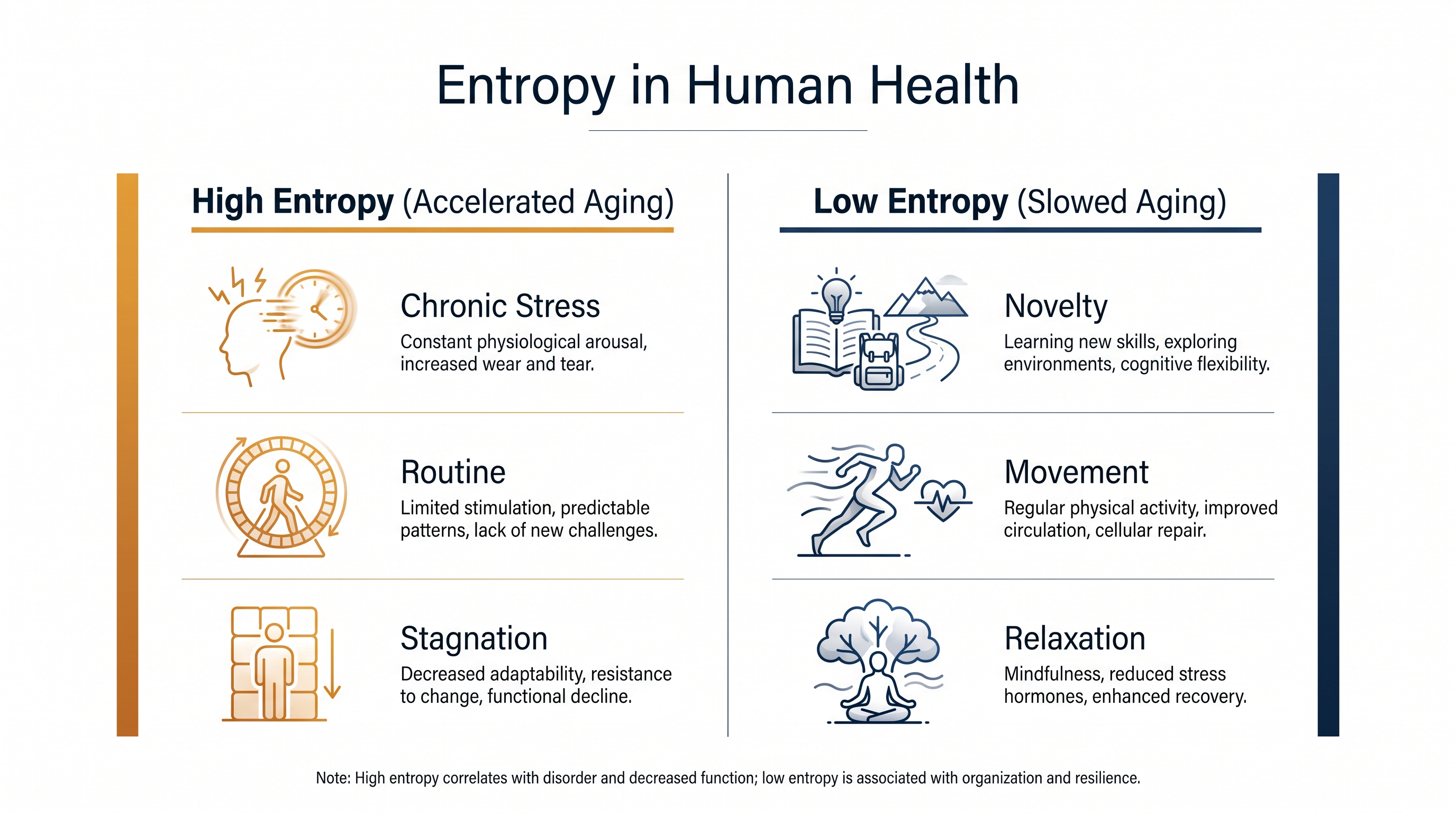 Travel introduces novelty and movement, which helps the body maintain a 'low-entropy' state of biological order.