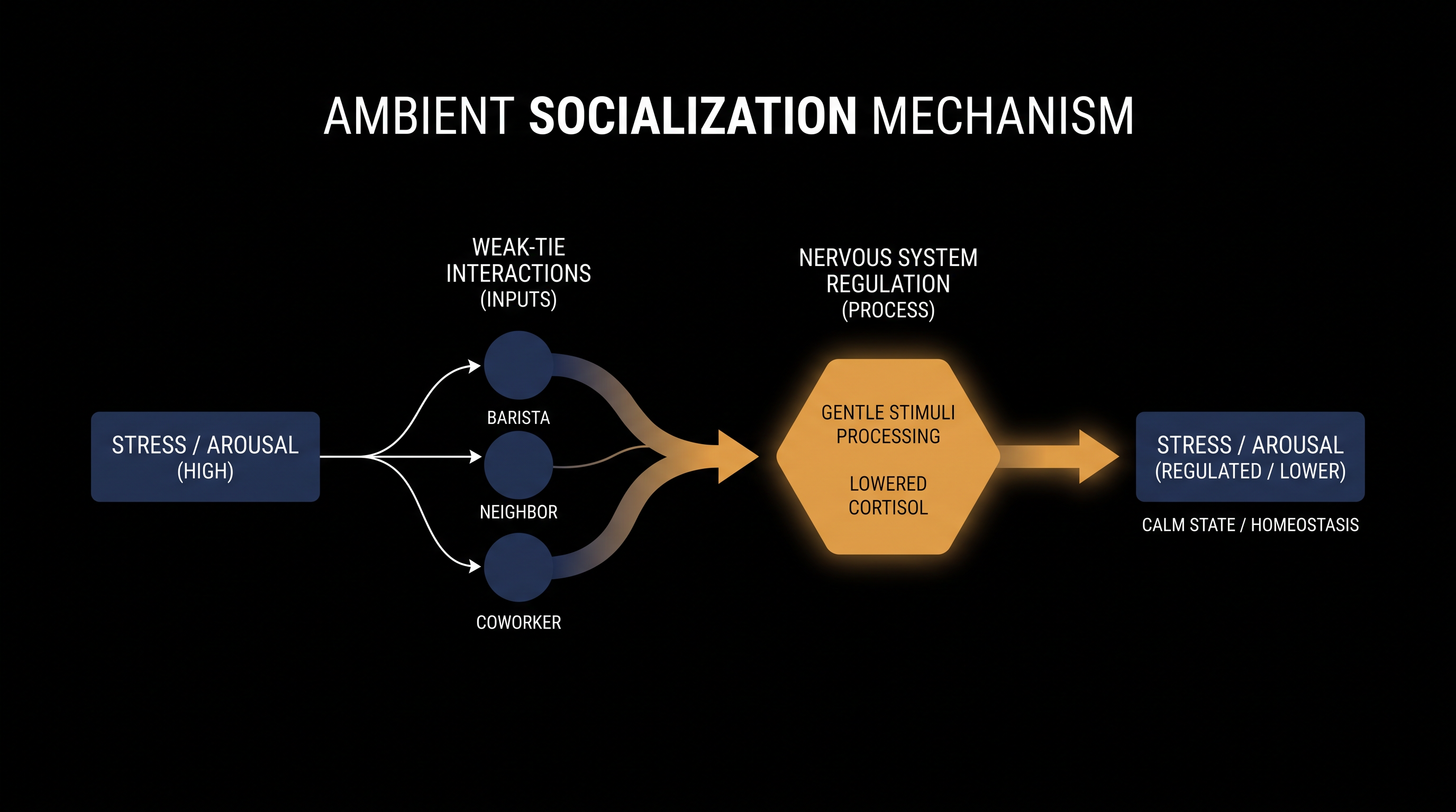 How low-stakes social interactions act as a buffer against chronic stress.
