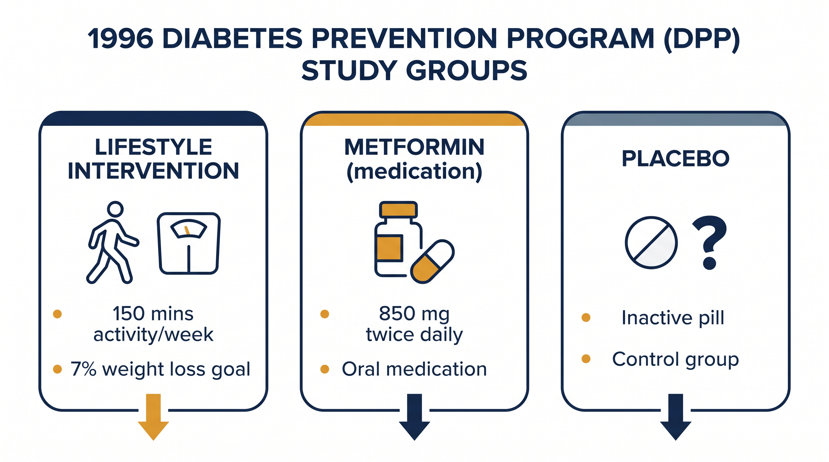 The original Diabetes Prevention Program split participants into three distinct tracks to measure long-term outcomes.