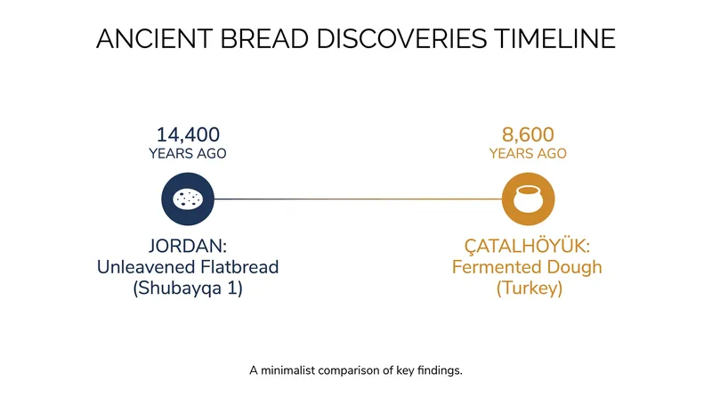 While unleavened bread dates back over 14,000 years, the Çatalhöyük find is the earliest evidence of fermentation.
