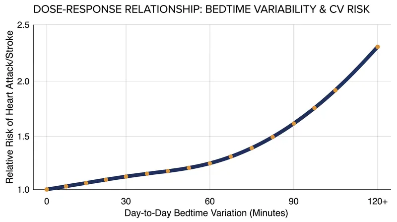 Risk of adverse cardiovascular events increases sharply when bedtimes vary by more than an hour from day to day.
