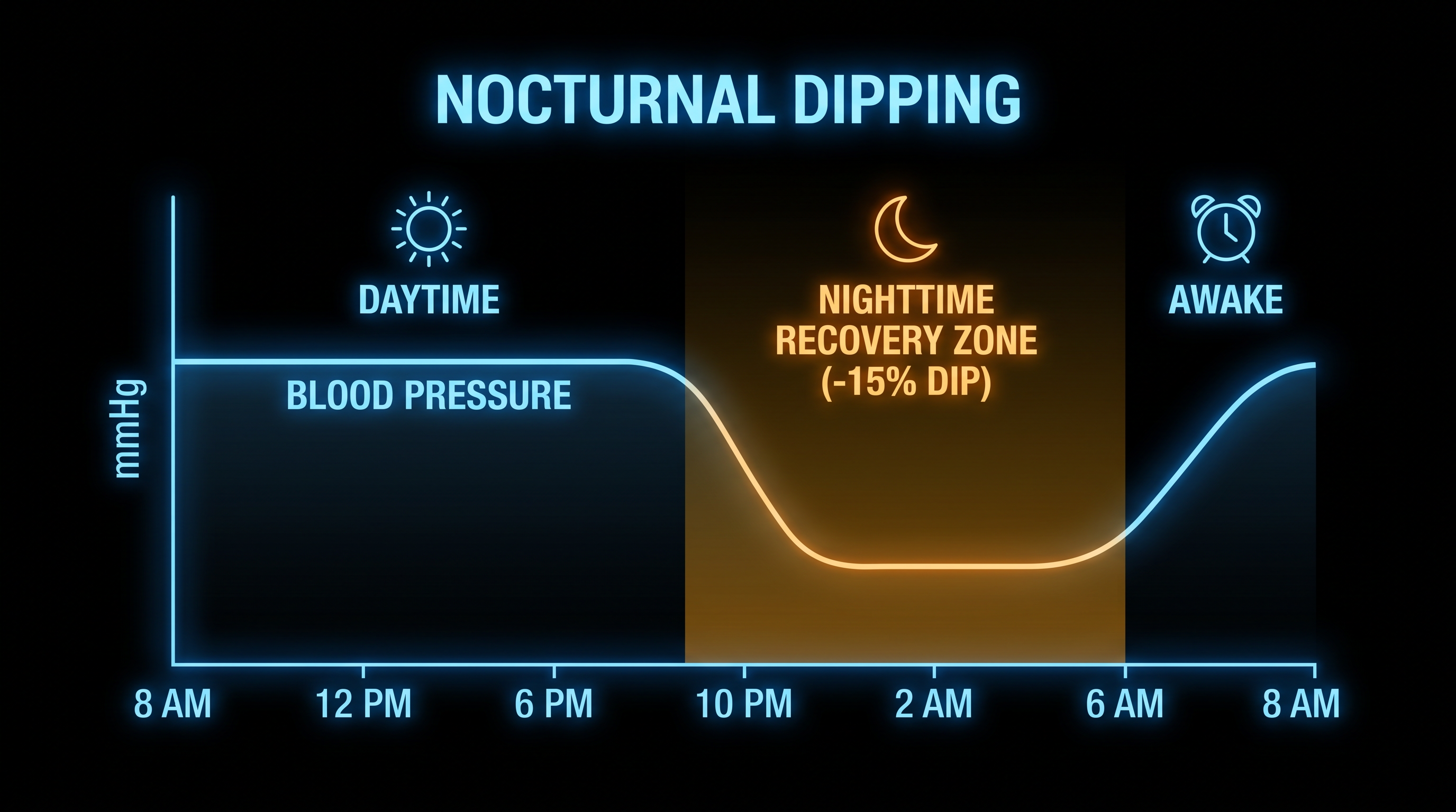 Nocturnal dipping allows the heart and blood vessels to recover; irregular sleep schedules often blunt this vital process.