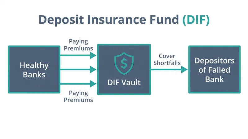 The Deposit Insurance Fund acts as a financial shock absorber, capitalized entirely by industry premiums rather than taxpayer dollars.