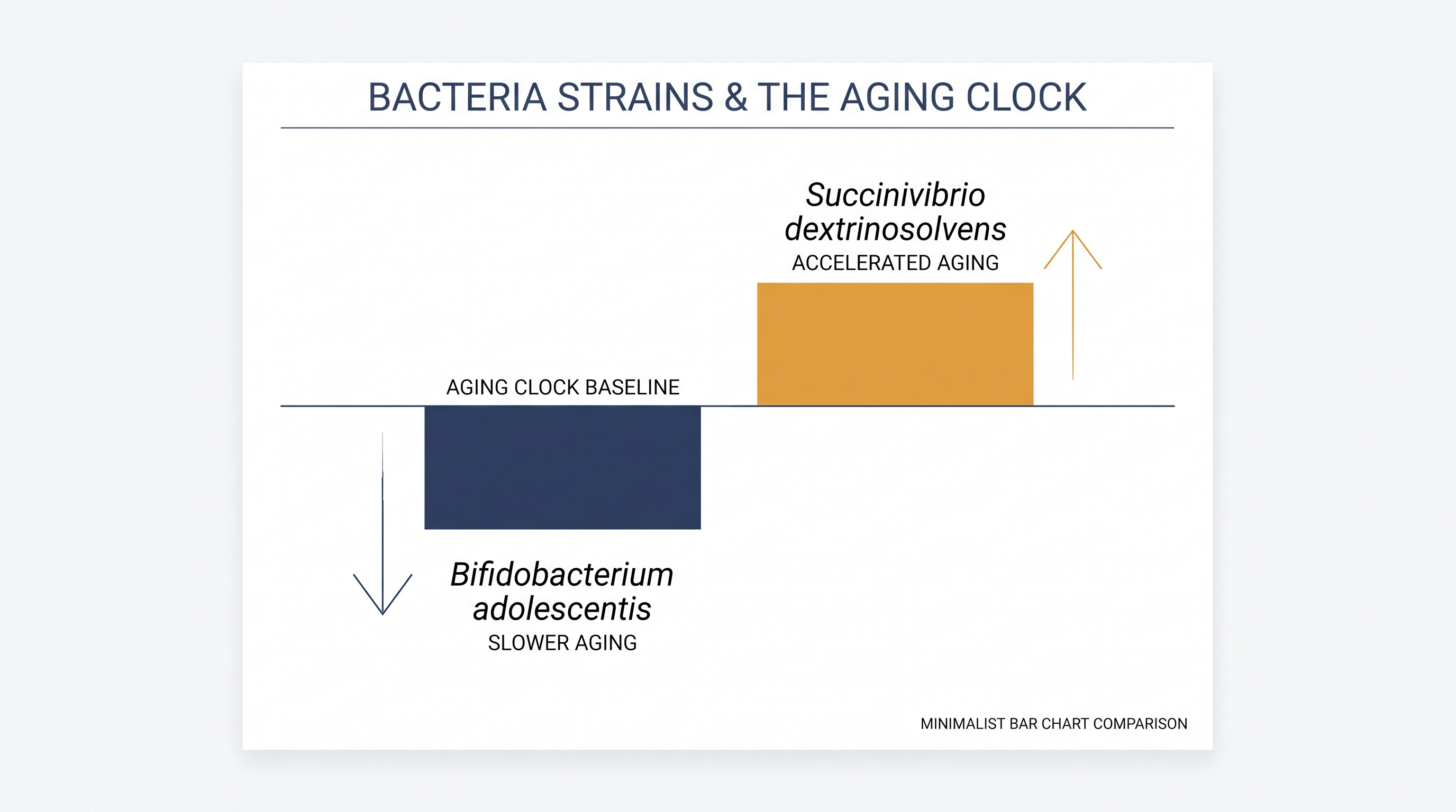 Specific microbial signatures act as internal architects, either decelerating or accelerating the molecular aging process.