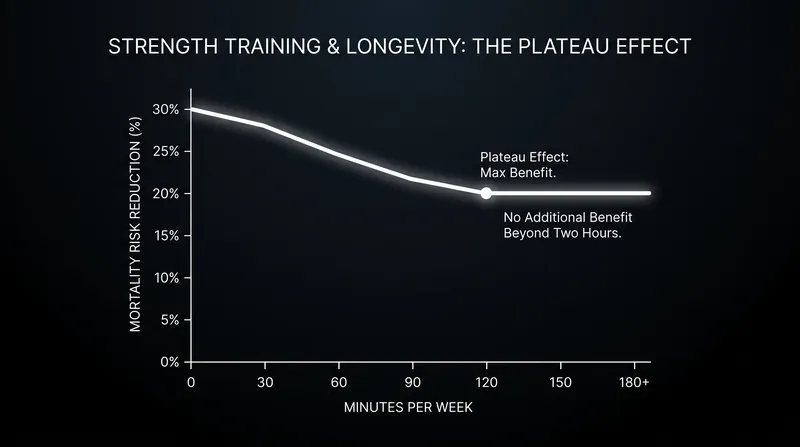 Researchers observed a clear ceiling effect, with longevity benefits plateauing after 120 minutes of weekly resistance training.