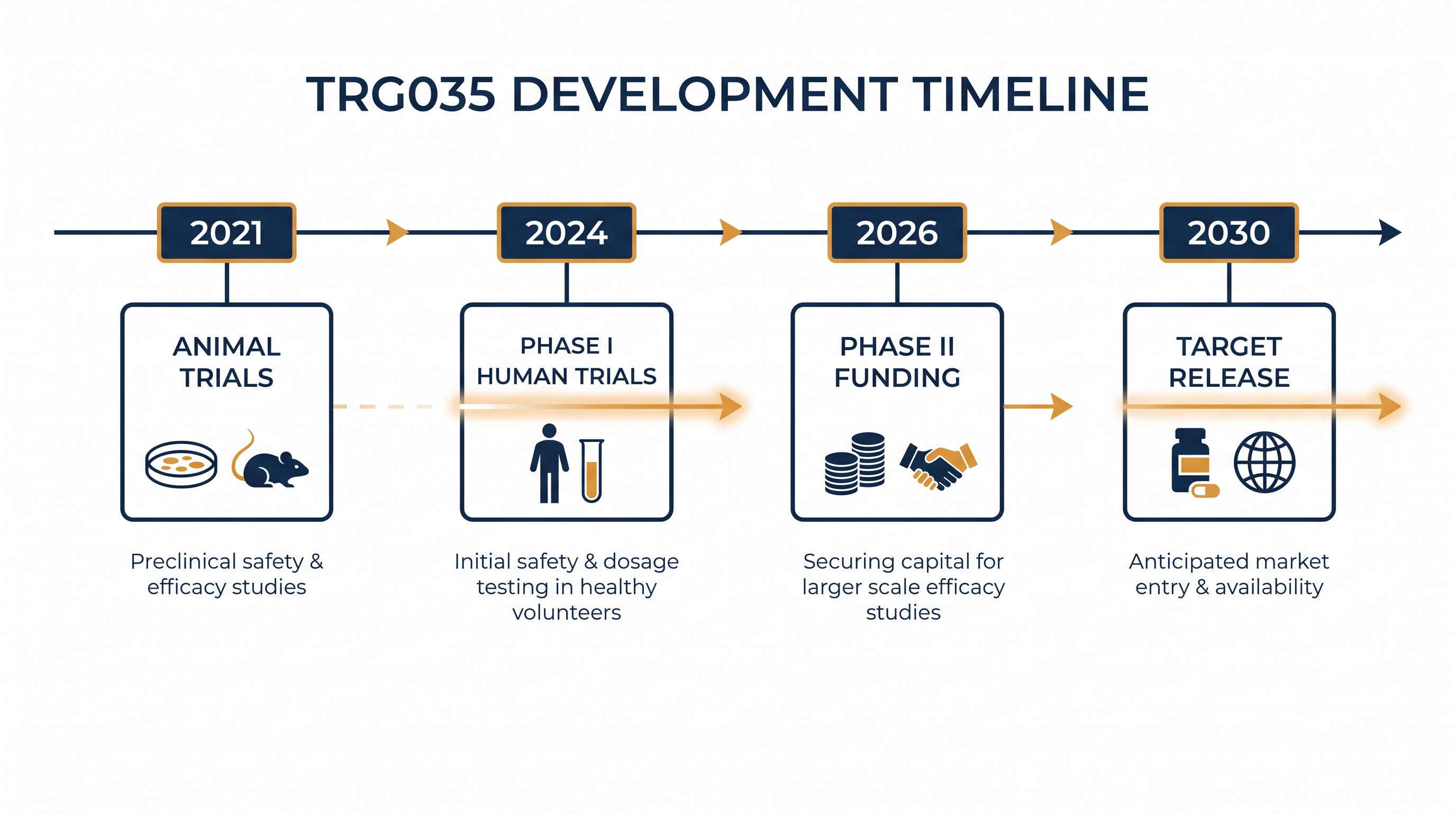 The rapid development timeline of the TRG035 tooth-regeneration drug.