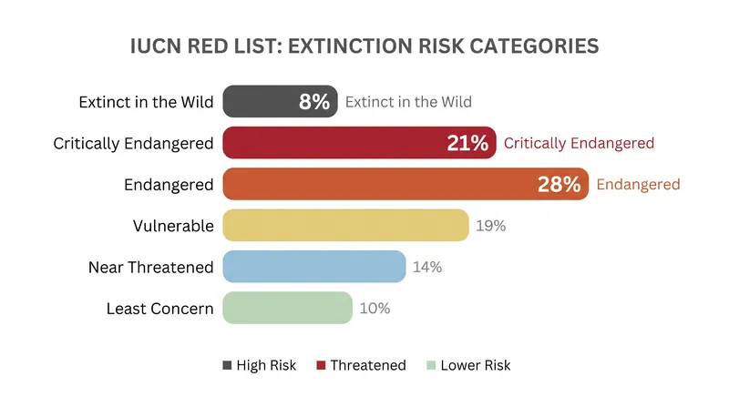 More than 31,000 assessed species are currently classified as Critically Endangered, Endangered, or Extinct in the Wild by the IUCN.