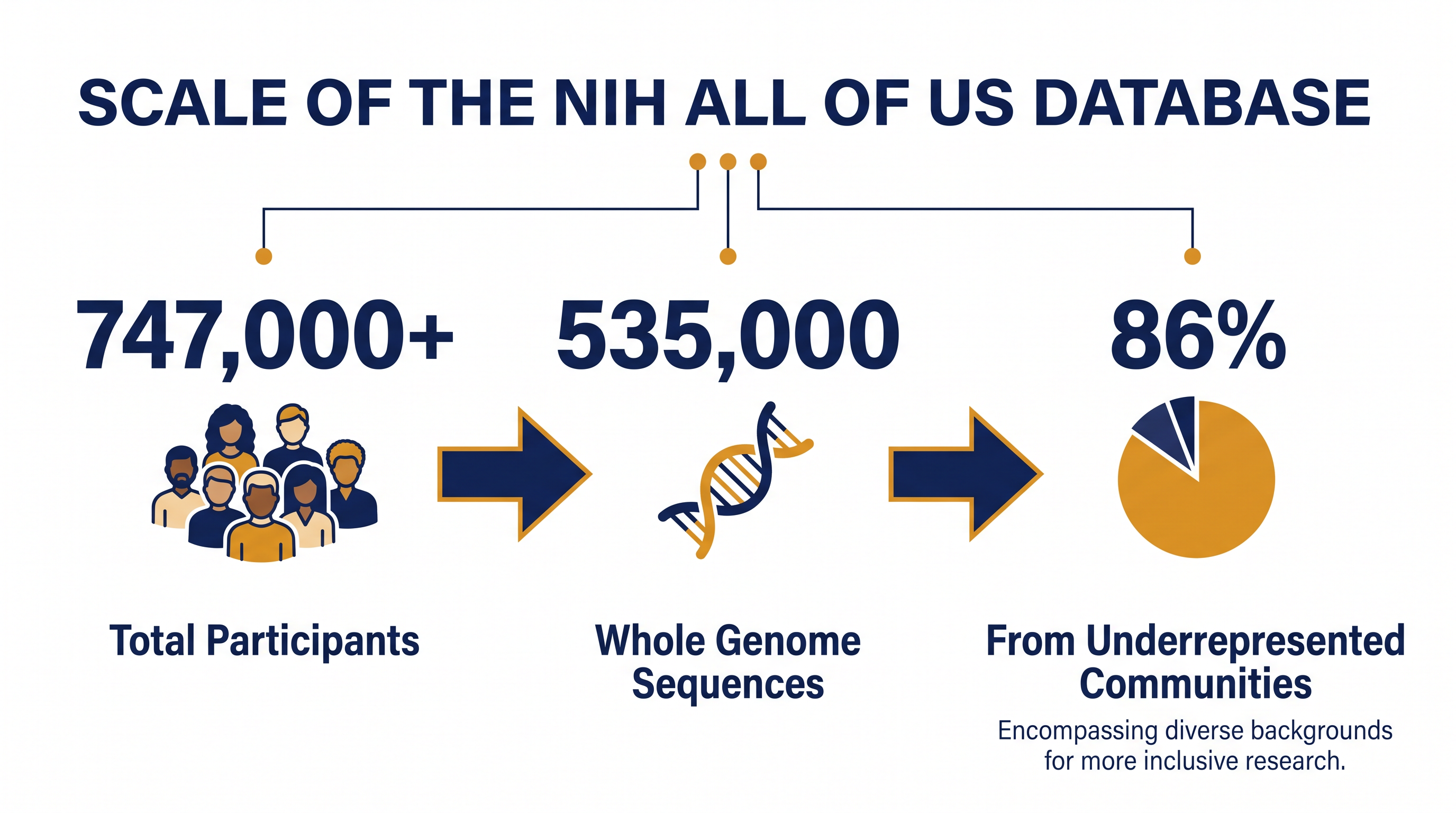 The database has engineered a diverse demographic baseline to ensure precision medicine benefits all populations.