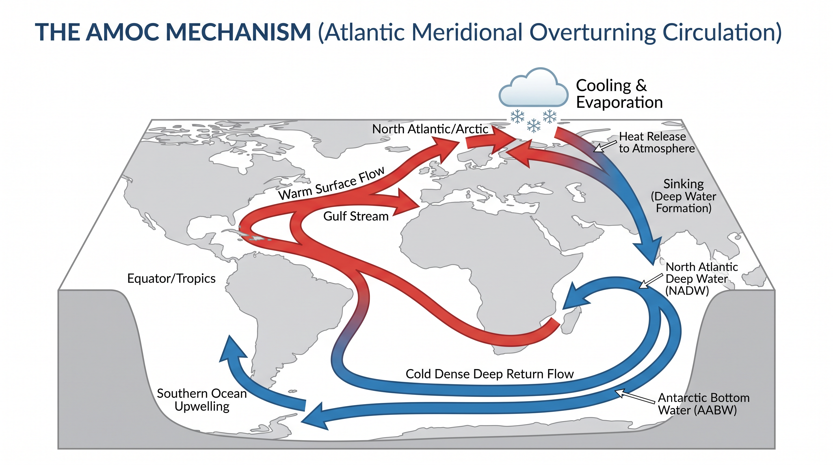 The AMOC is driven by density gradients controlled by temperature and salinity.