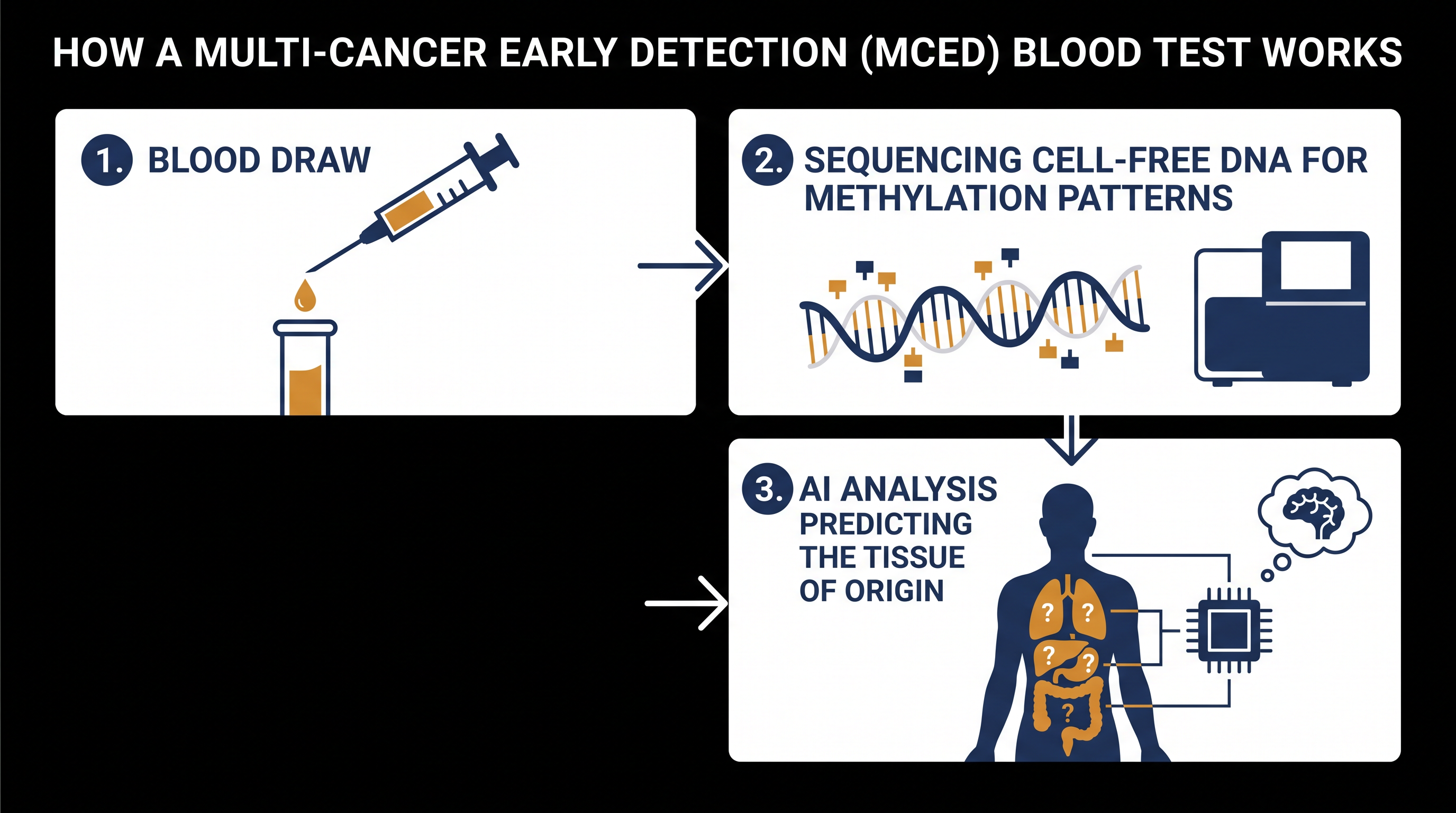 MCED tests analyze fragments of tumor DNA circulating in the bloodstream to identify the presence and origin of cancer.