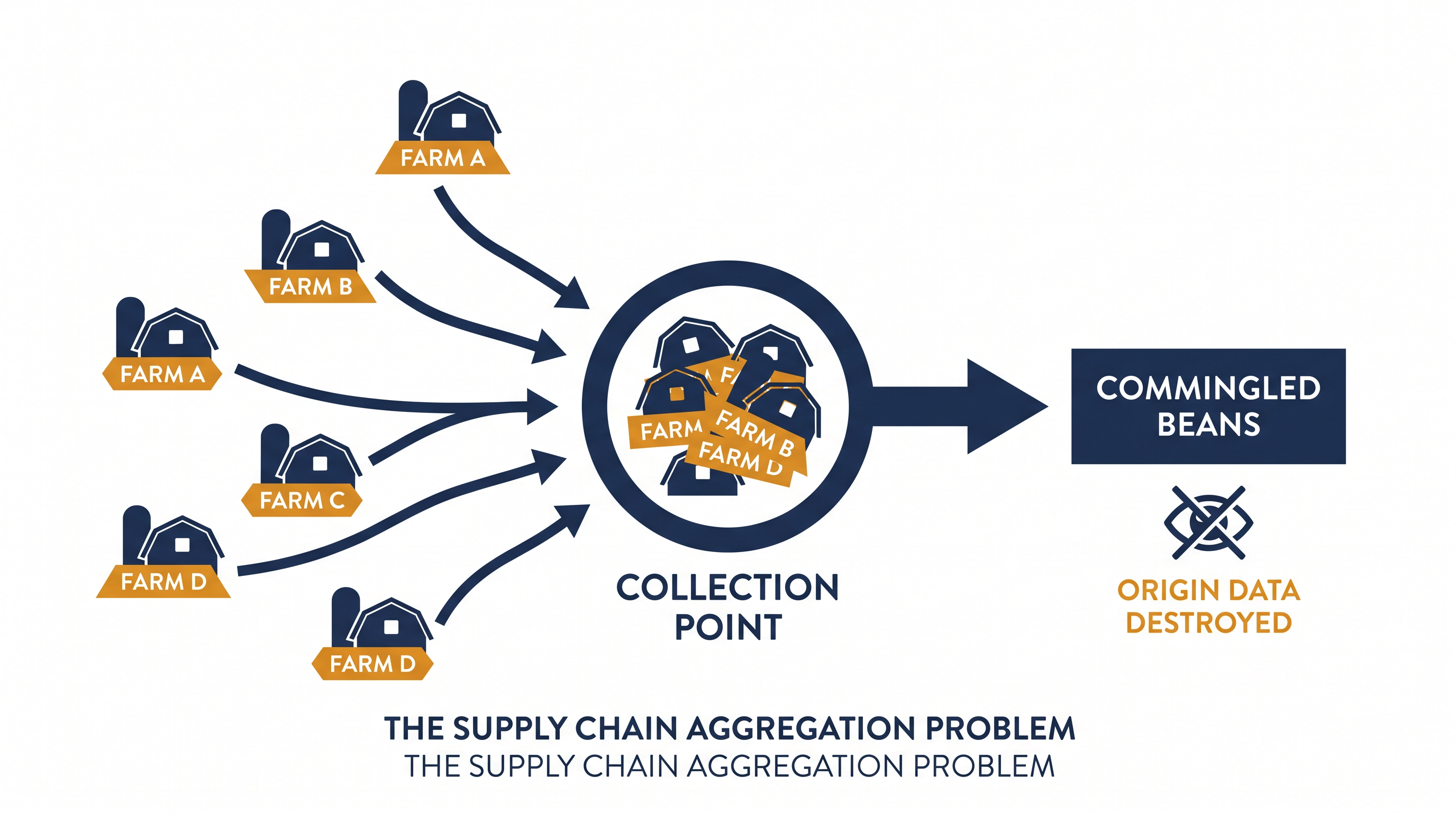 Commingling beans at local collection points poses a major compliance risk under the new traceability rules.
