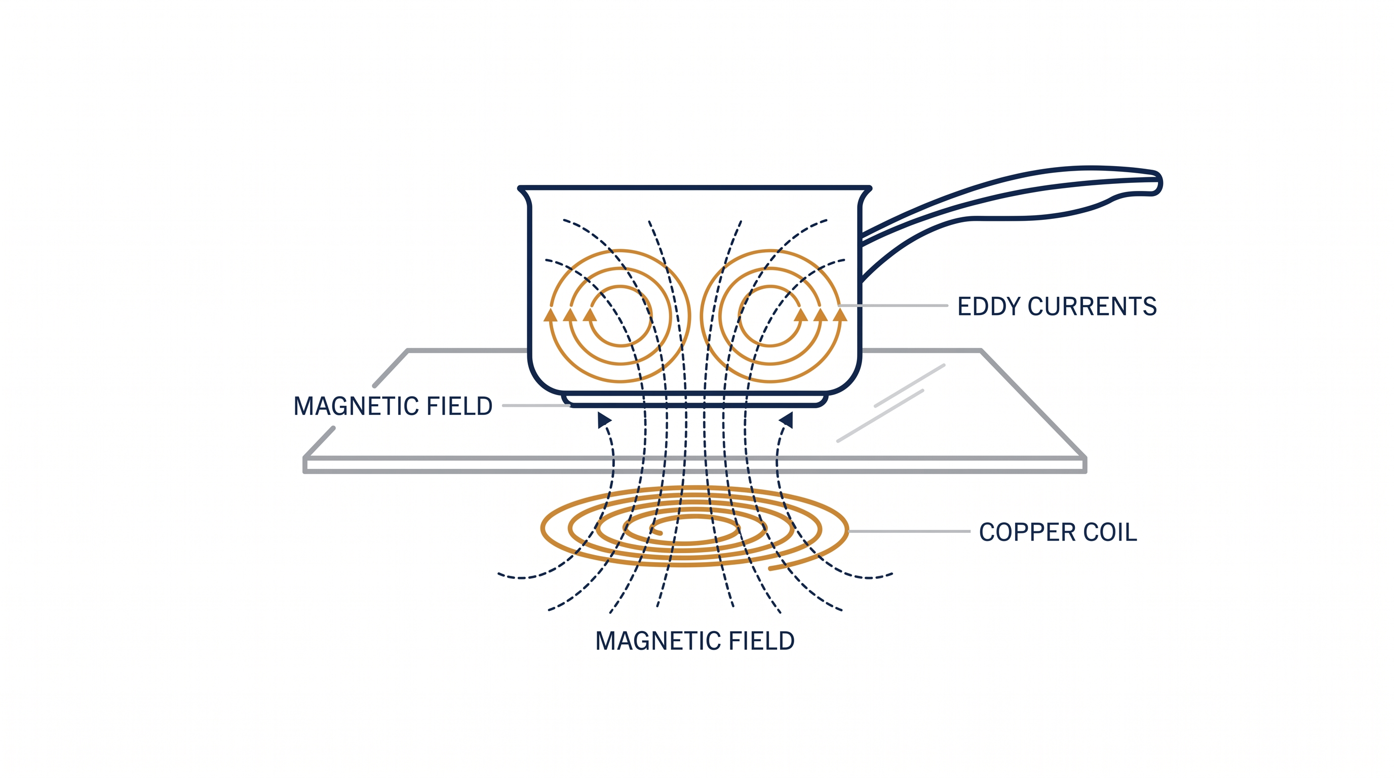 Electromagnetic induction creates resistance within the metal of the pan, generating heat directly in the cookware.