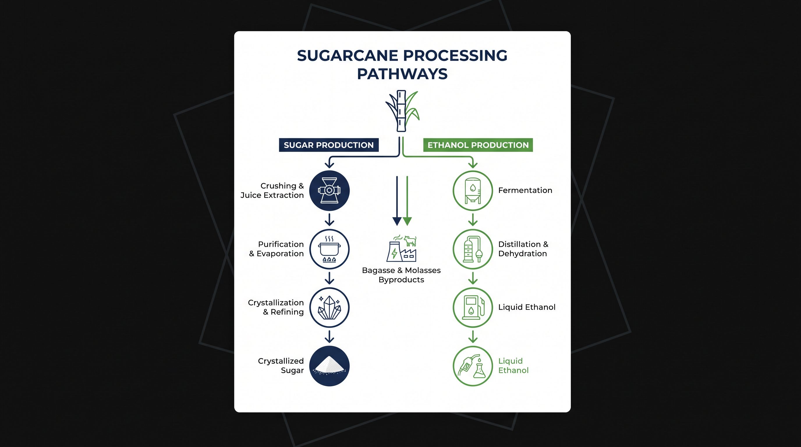Brazilian mills act as a global buffer by pivoting between edible sugar and biofuel based on market prices.