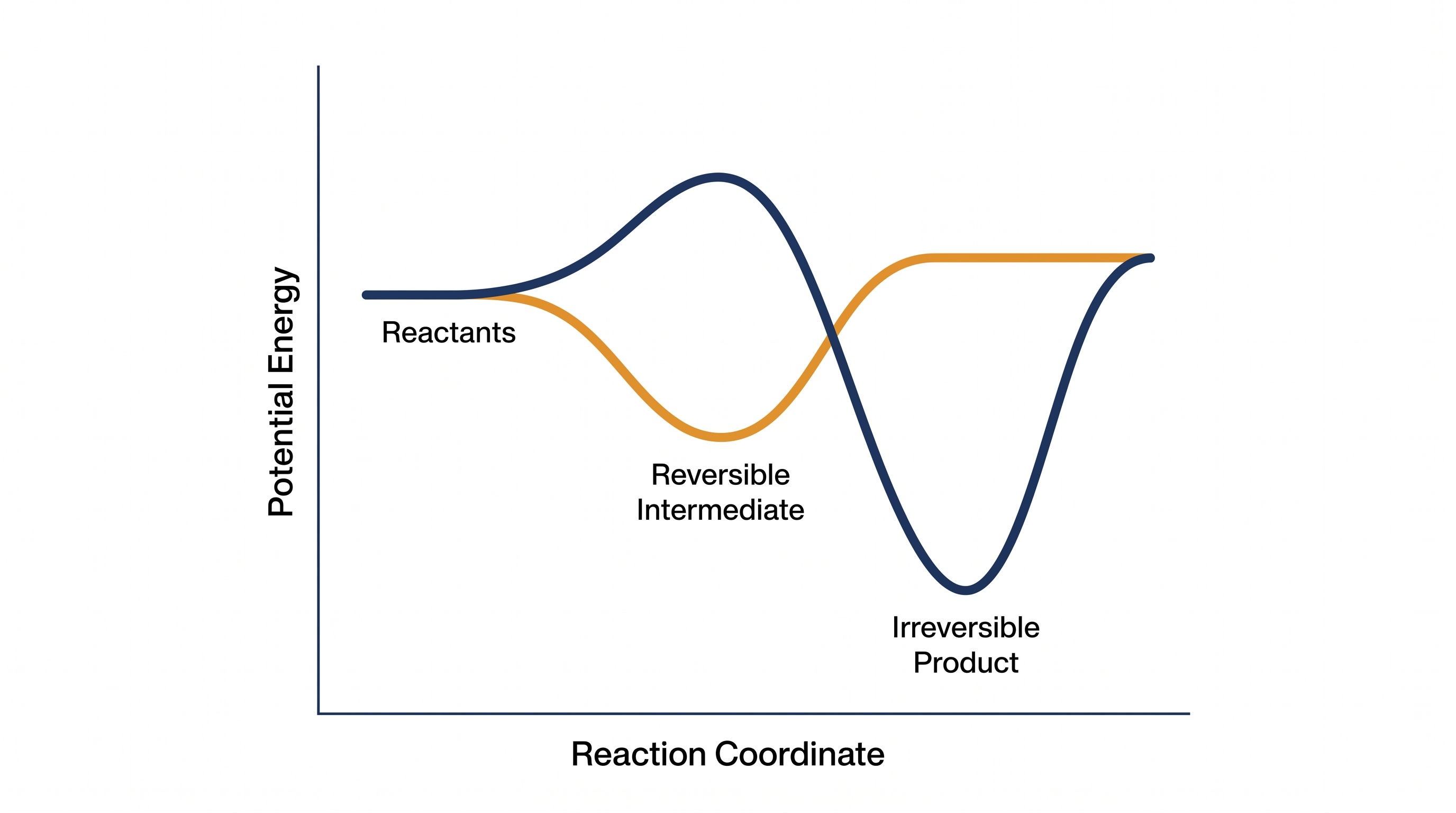 Selectivity emerges because the unwanted electron transfers are highly reversible, while the desired reaction is permanent.