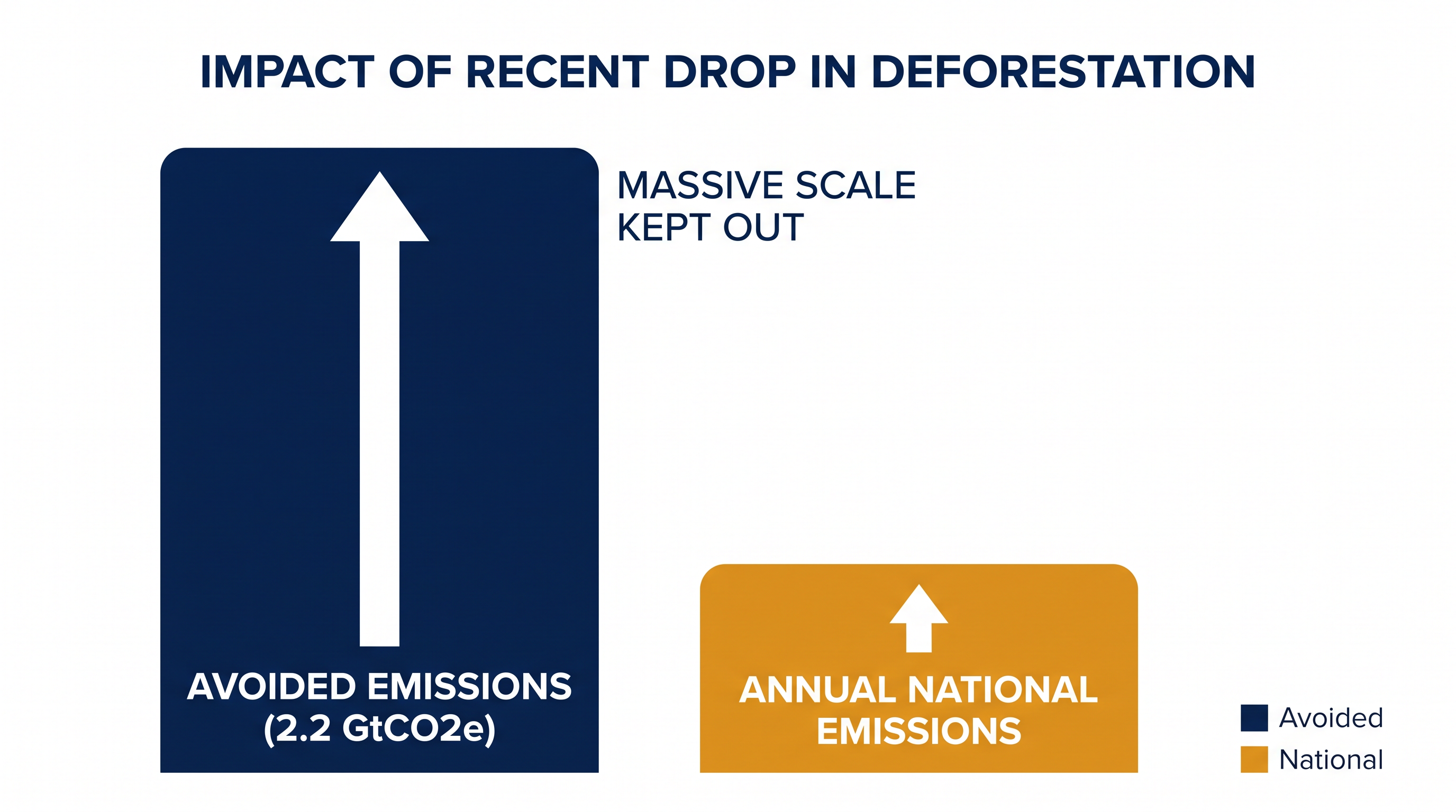 The reduction in clearing since 2023 has prevented the emission of over 2.2 billion tons of carbon dioxide equivalent.