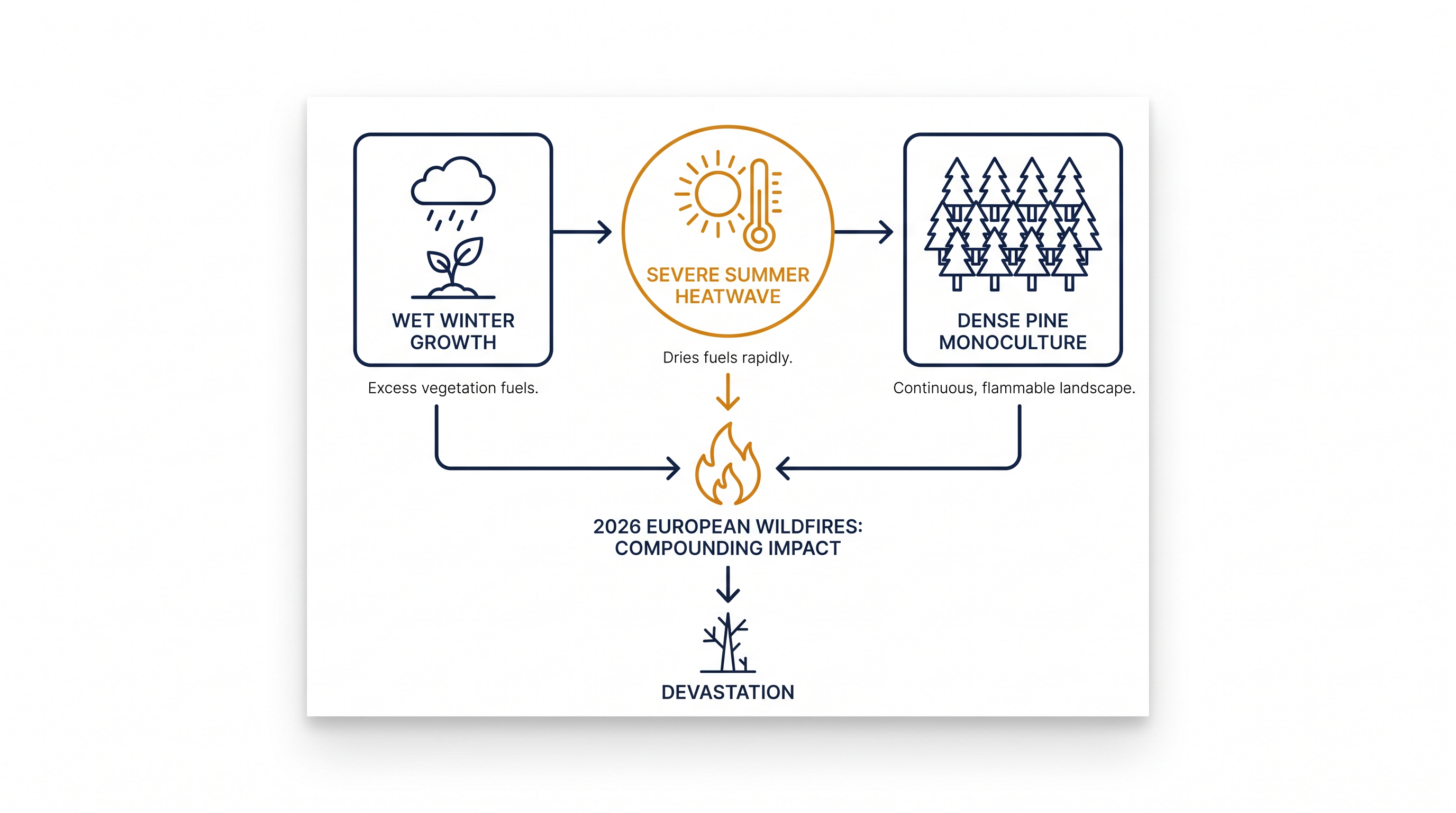 A combination of meteorological extremes and structural land-use vulnerabilities primed Southern Europe for extreme fire behavior.