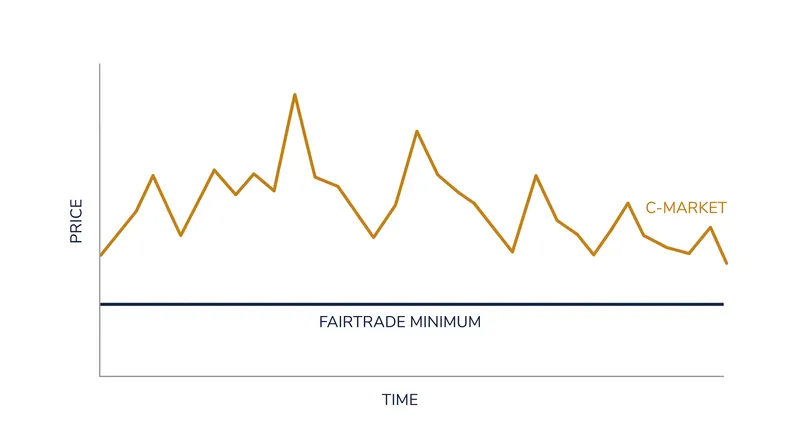 The Fairtrade minimum acts as a one-way safety valve, activating only when the global commodity price crashes.