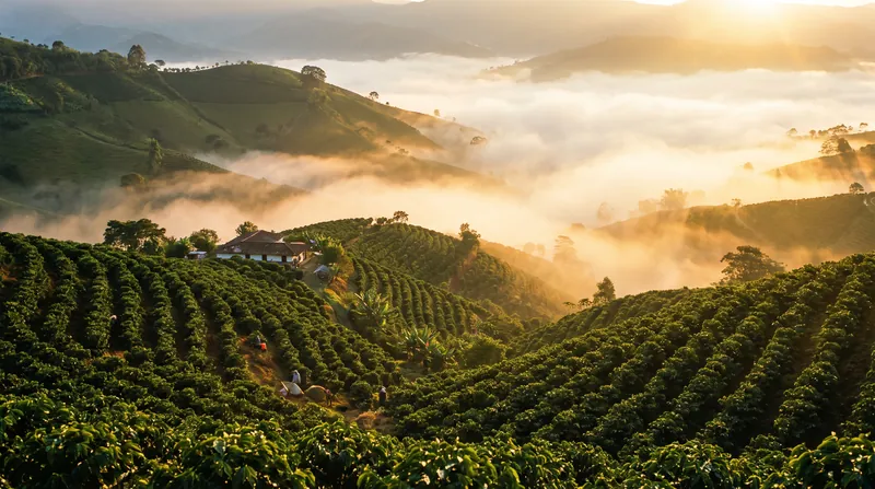 Farmers across Latin America, Africa, and Asia are investing heavily to adapt their crops to unpredictable weather patterns.