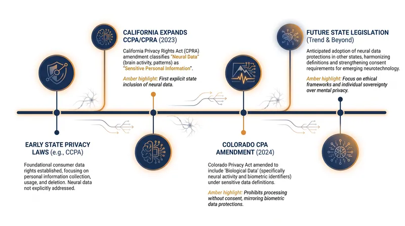The legislative timeline establishing 'neurorights' and protecting biological data in the United States.